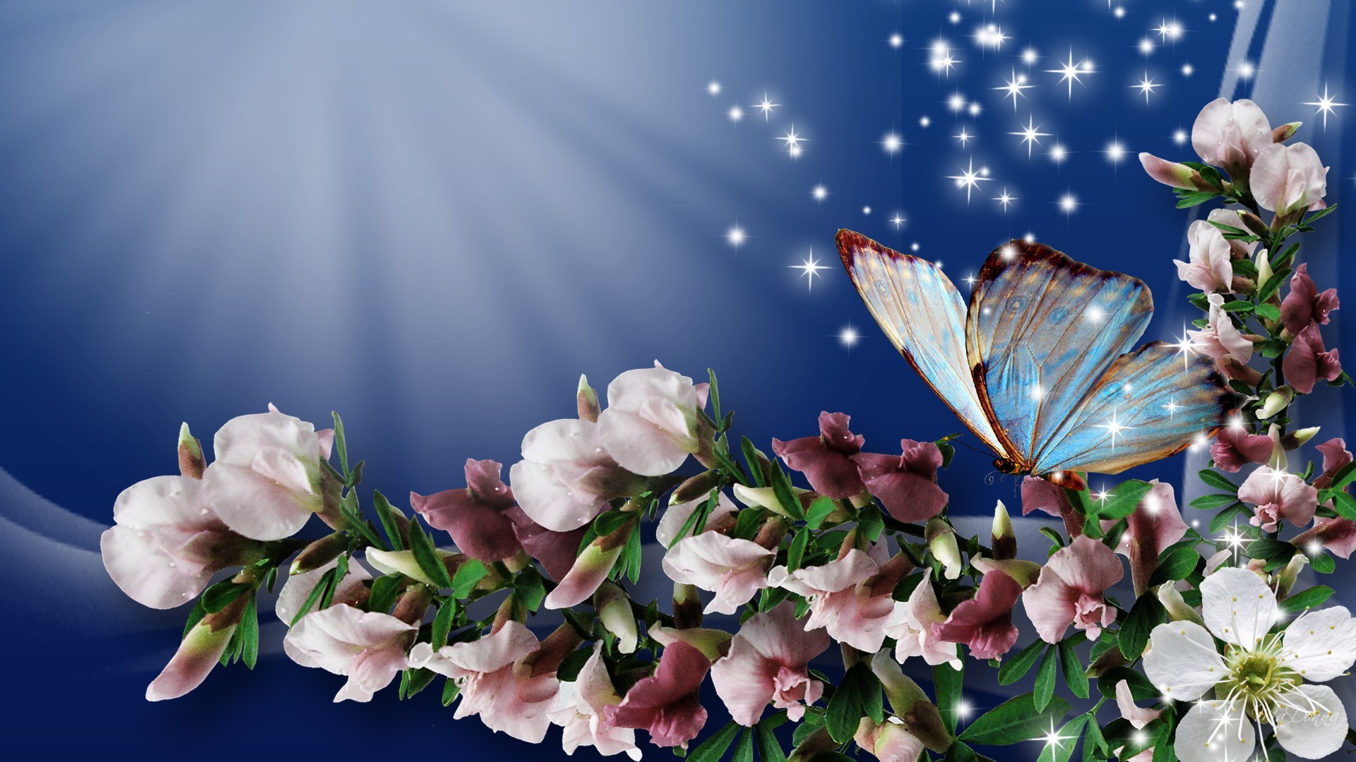 Скачать обои бесплатно Цветок, Бабочка, Весна, Блестки, Цветущие, Художественные, Розовый Цветок картинка на рабочий стол ПК