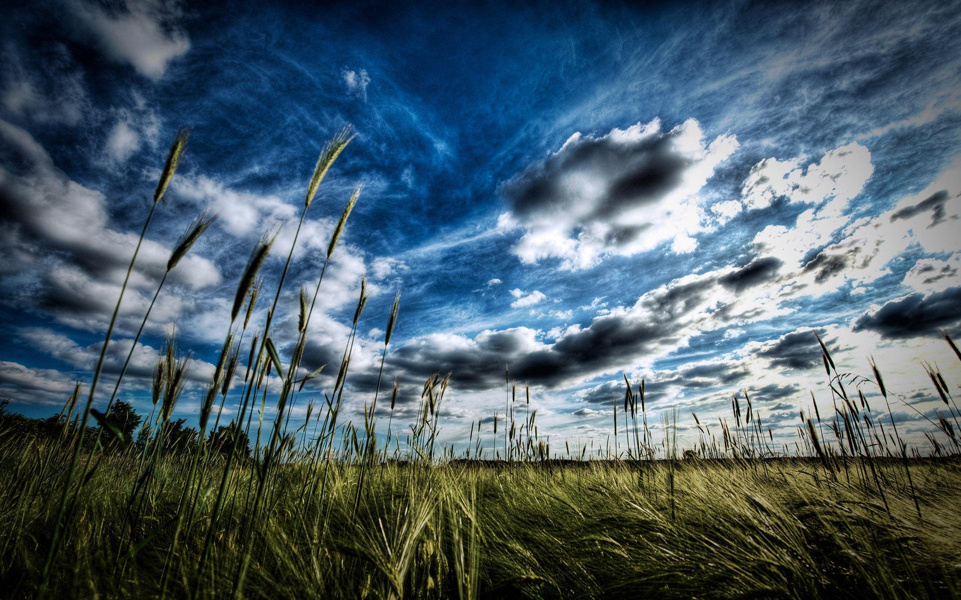 landscape, fields, clouds, blue desktop HD wallpaper