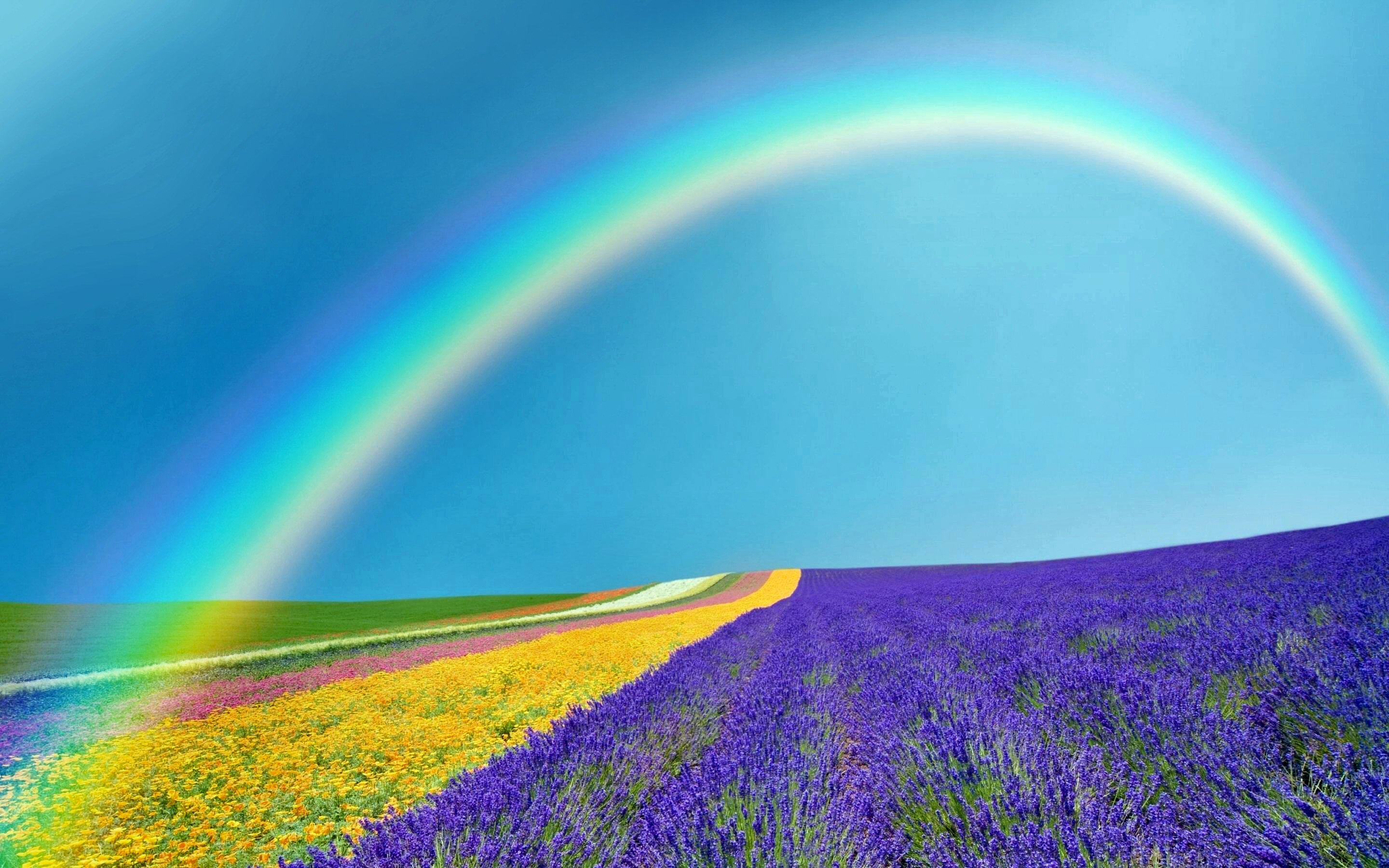 Free download wallpaper Nature, Rainbow, Horizon, Earth, Field, Spring, Sunny on your PC desktop