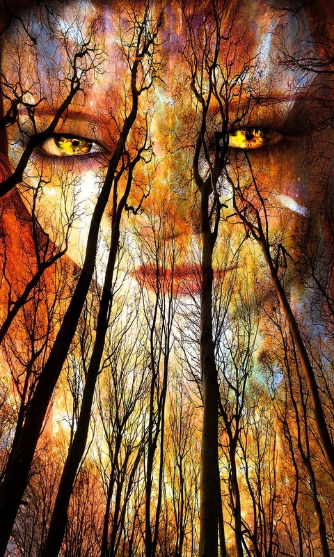 Download mobile wallpaper Dark, Forest, Tree, Face, Yellow Eyes for free.