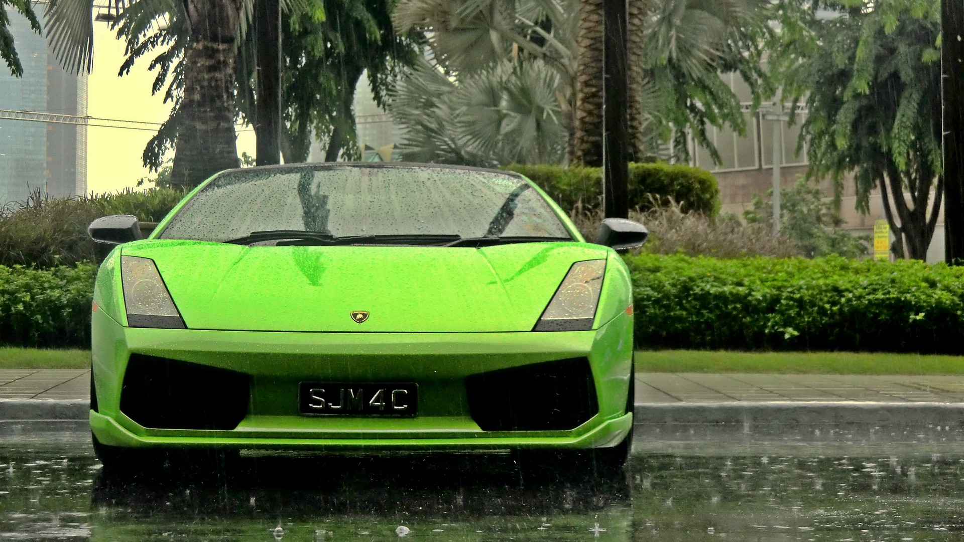 261218 Salvapantallas y fondos de pantalla Lamborghini Gallardo en tu teléfono. Descarga imágenes de  gratis