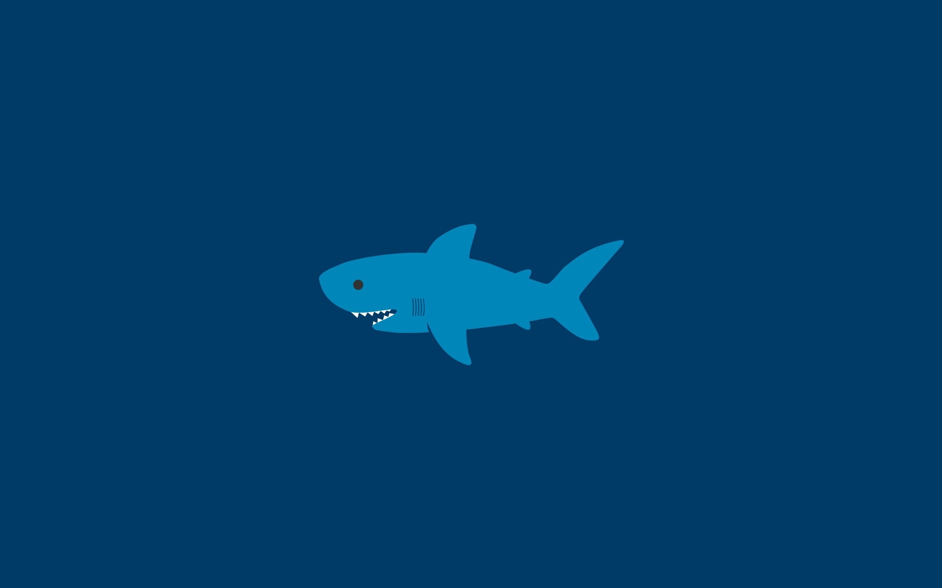 Baixe gratuitamente a imagem Animais, Tubarão na área de trabalho do seu PC