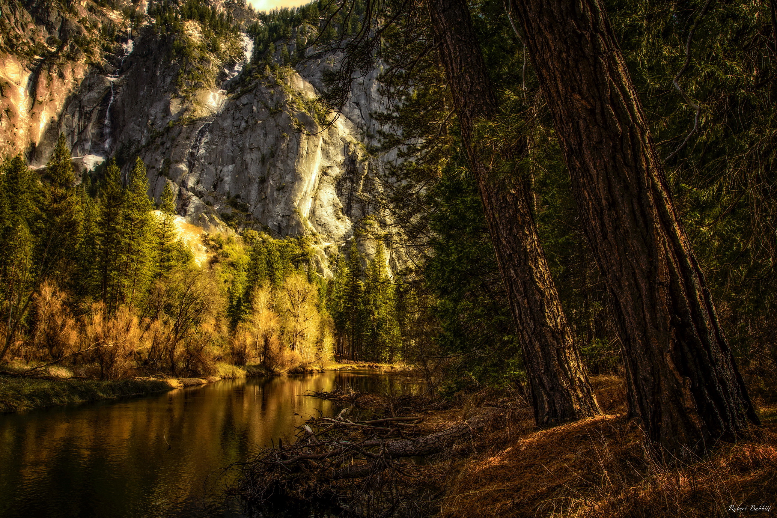 369166壁紙のダウンロード地球, ヨセミテ国立公園, カリフォルニア, 崖, 自然, 川, 木, アメリカ合衆国, 滝, 国立公園-スクリーンセーバーと写真を無料で