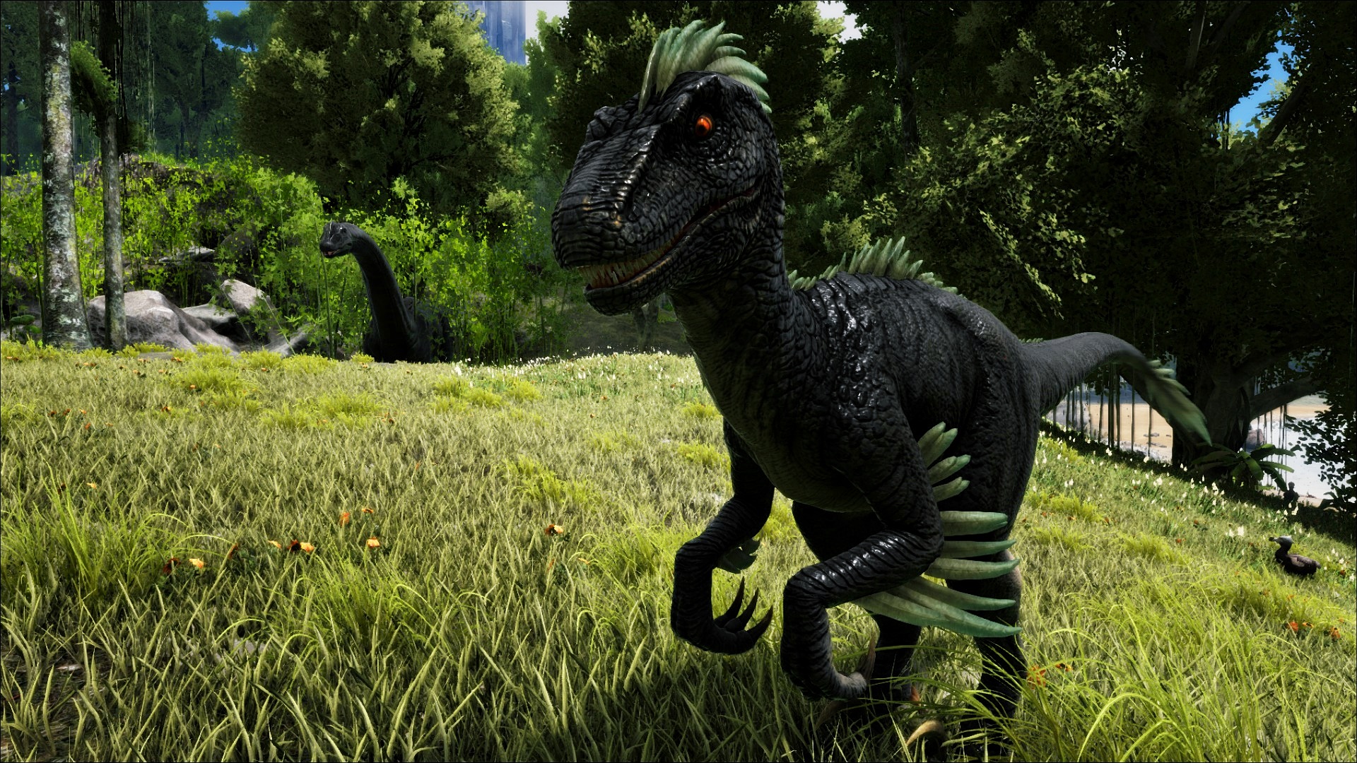 828444 Bild herunterladen computerspiele, ark: survival evolved, dinosaurier - Hintergrundbilder und Bildschirmschoner kostenlos