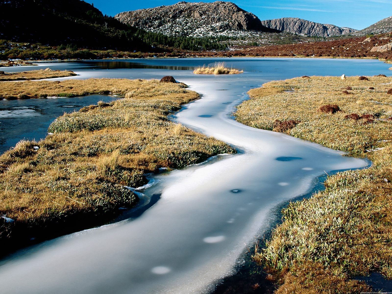 Laden Sie das Natur, Wasser, Grass, Stones, Eis, Flüsse, Australien-Bild kostenlos auf Ihren PC-Desktop herunter