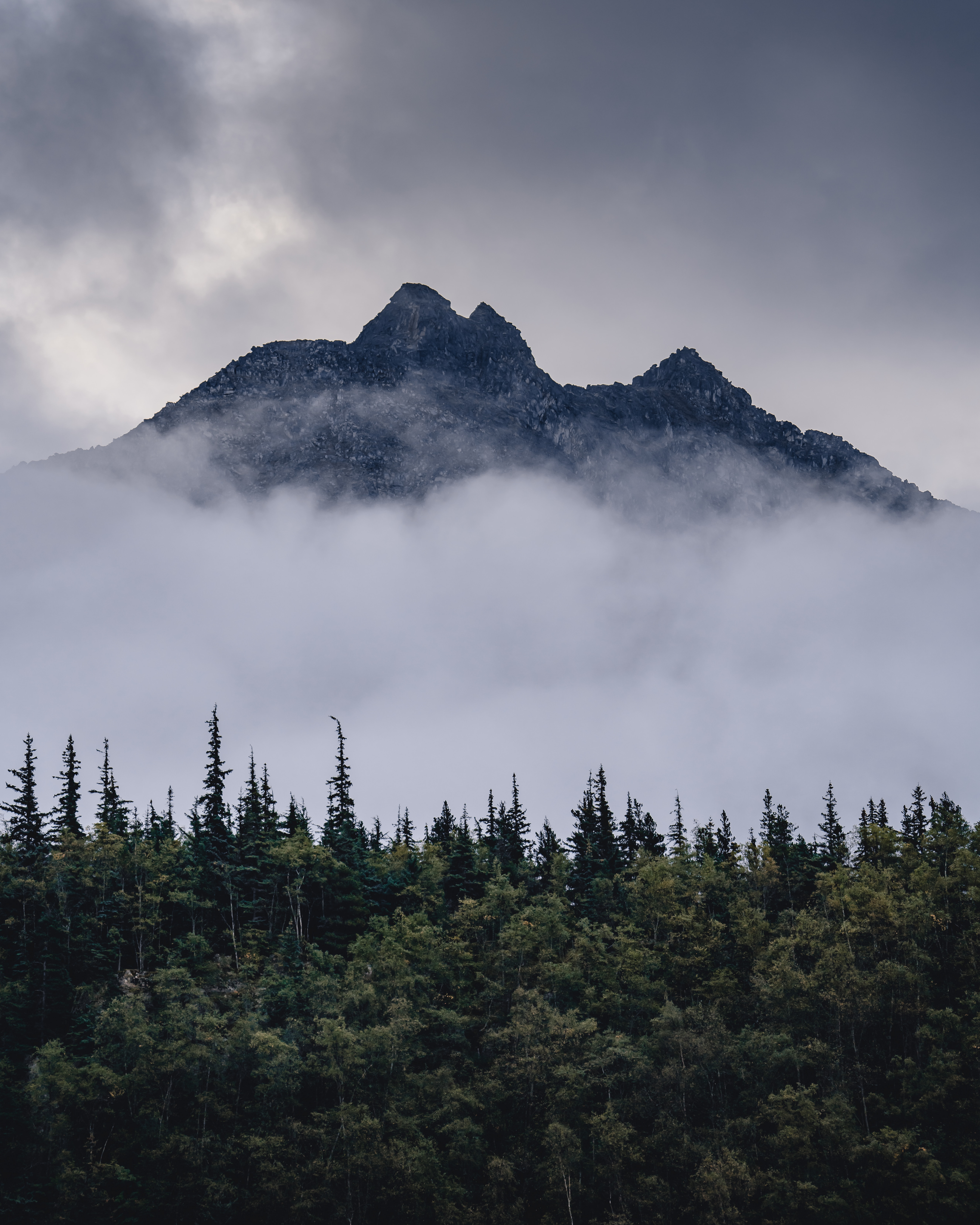 Descarga gratis la imagen Naturaleza, Nubes, Montaña, Niebla, Árboles, Paisaje en el escritorio de tu PC