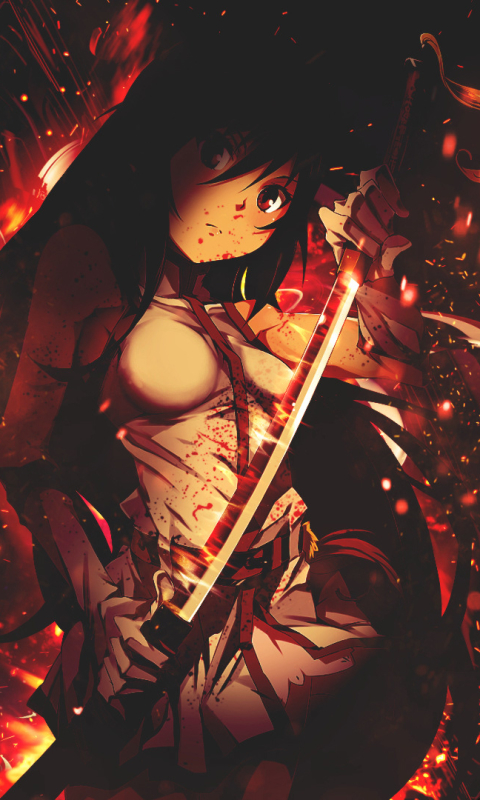Download mobile wallpaper Anime, Blade, Akame Ga Kill! for free.