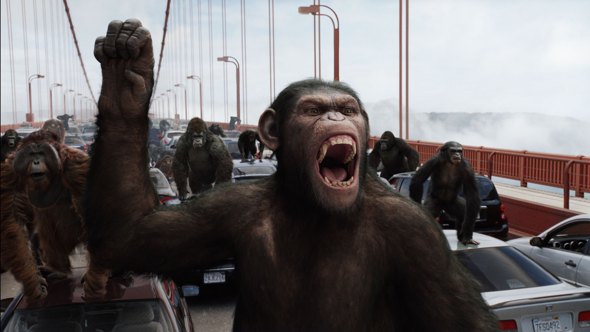 667992 descargar imagen películas, el origen del planeta de los simios: fondos de pantalla y protectores de pantalla gratis