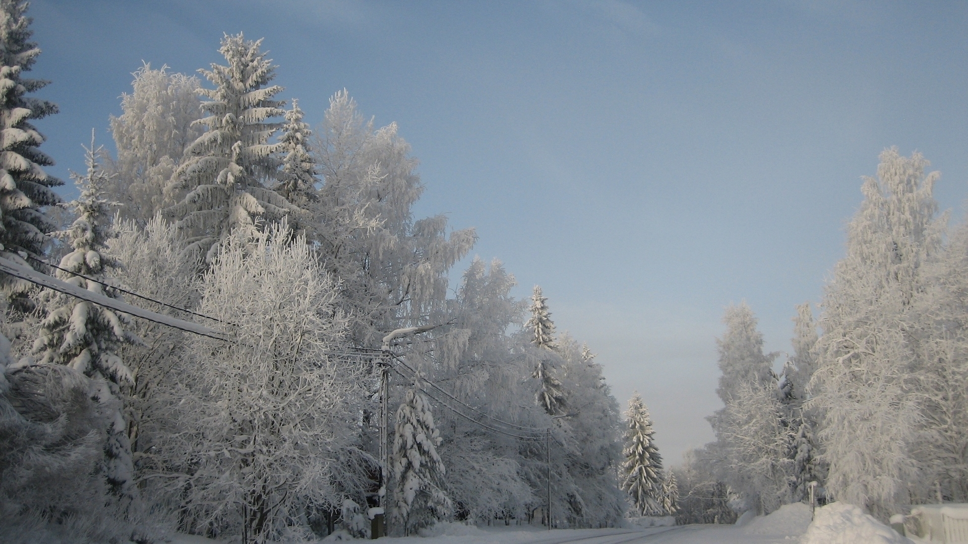 Скачать обои бесплатно Зима, Снег, Дерево, Фотографии картинка на рабочий стол ПК