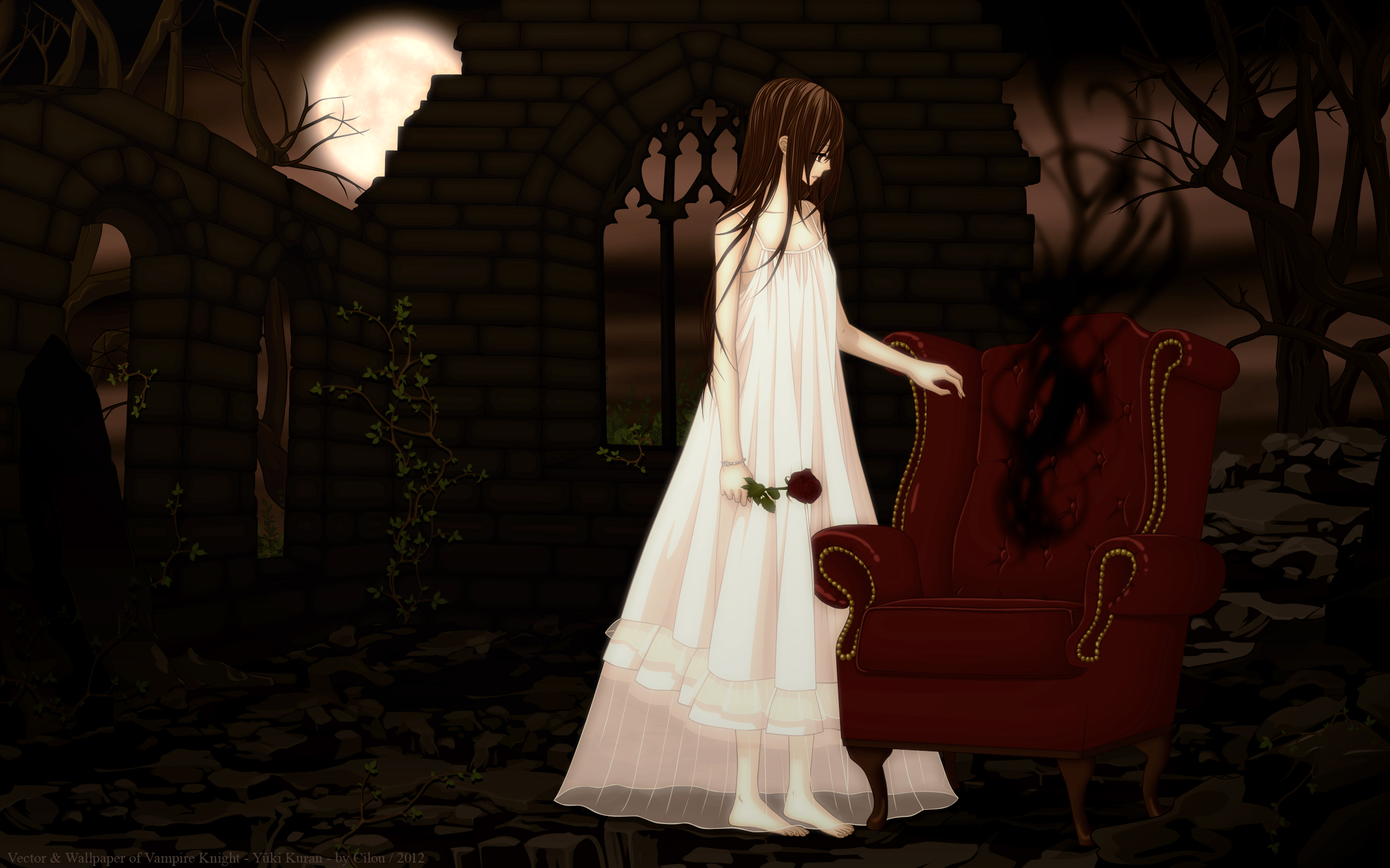 Free download wallpaper Anime, Vampire Knight on your PC desktop