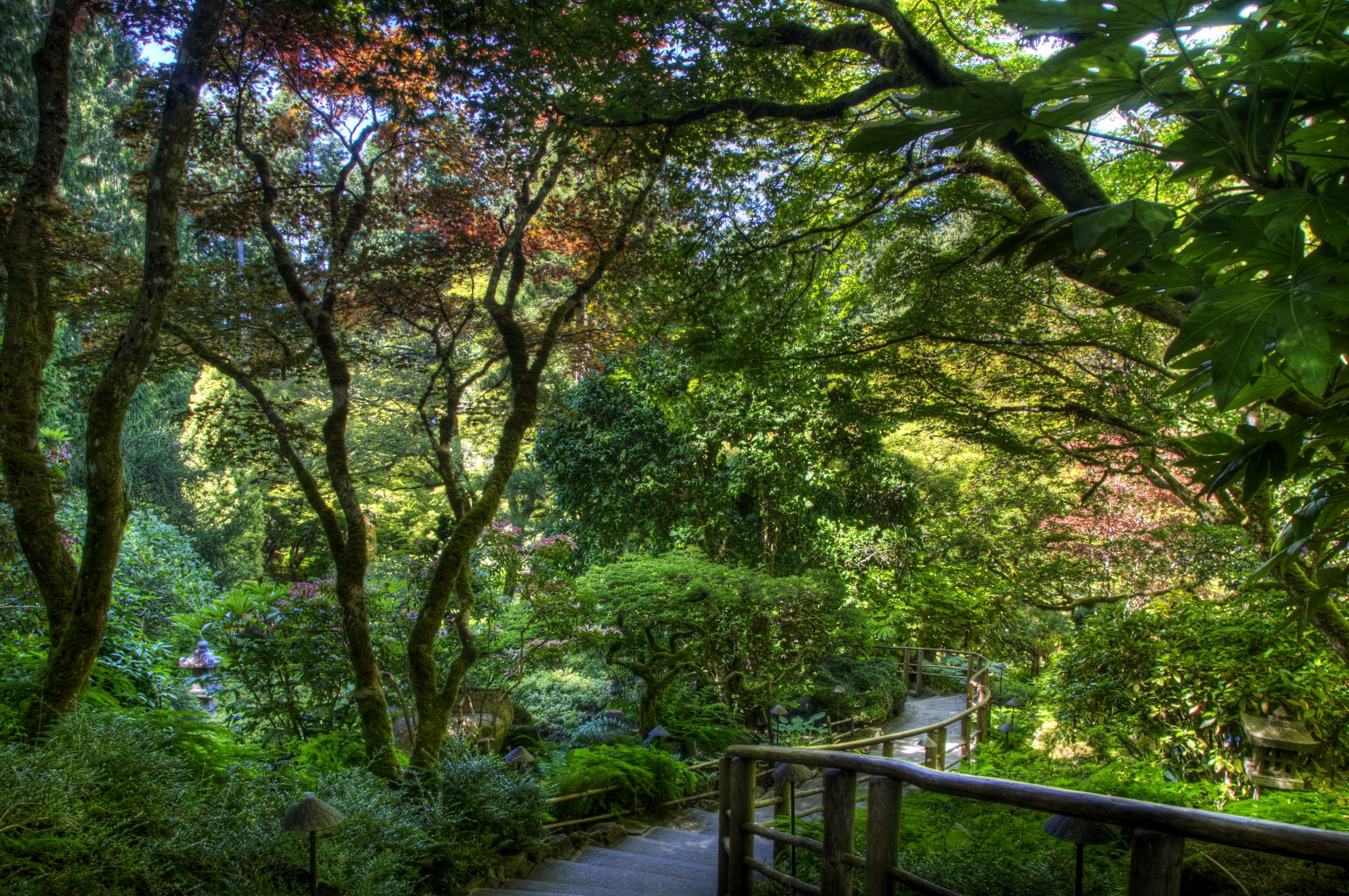 green, nature, trees, shadow, garden, steps, railings, handrail