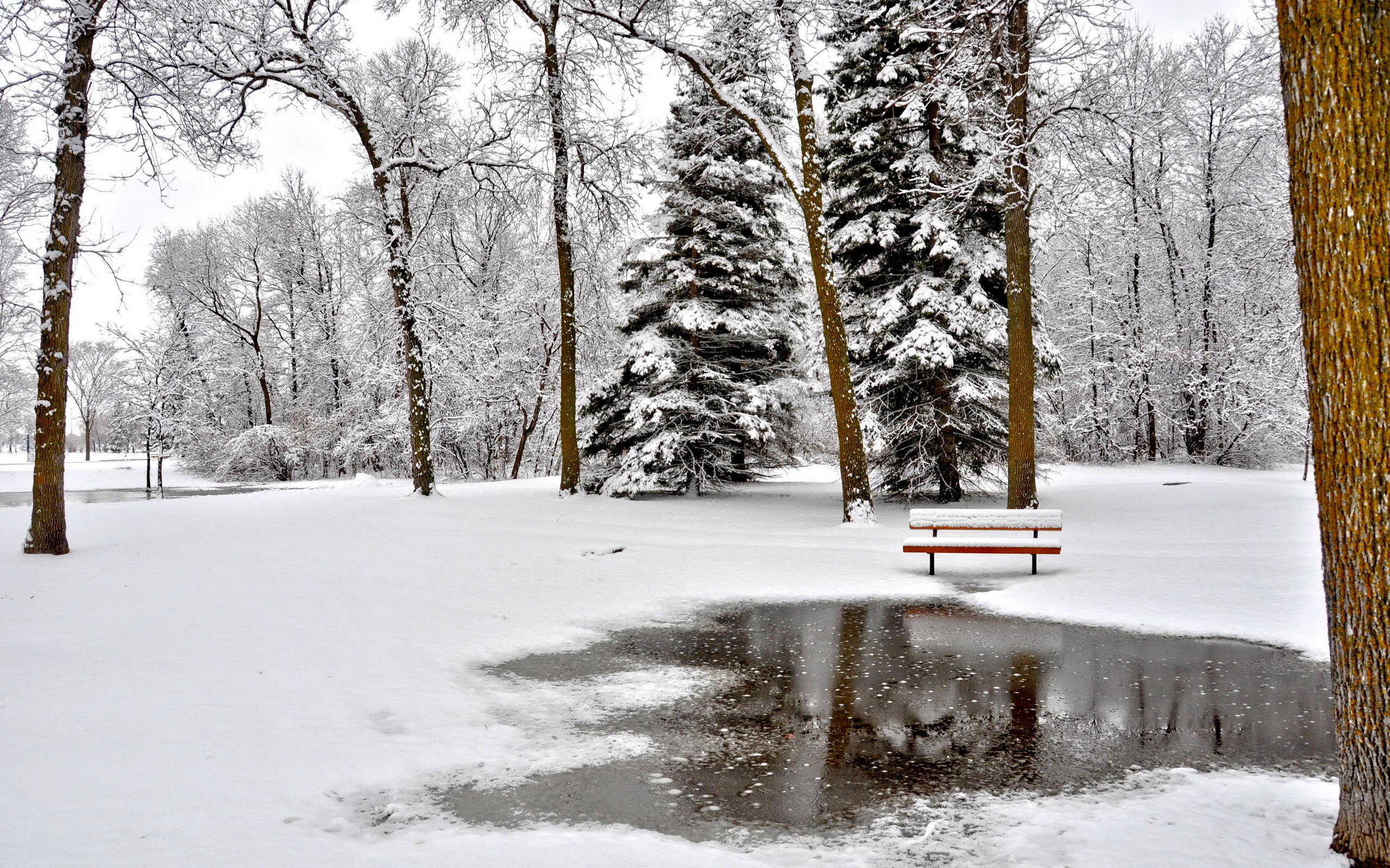 Download mobile wallpaper Winter, Nature, Snow, Park, Tree, Earth, Bench, Photography for free.
