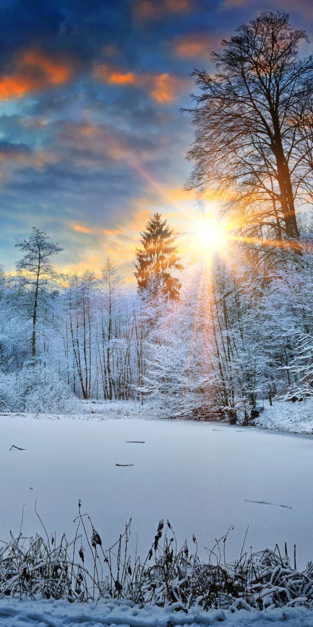 Descarga gratuita de fondo de pantalla para móvil de Invierno, Nieve, Atardecer, Tierra/naturaleza, Puesta De Sol.