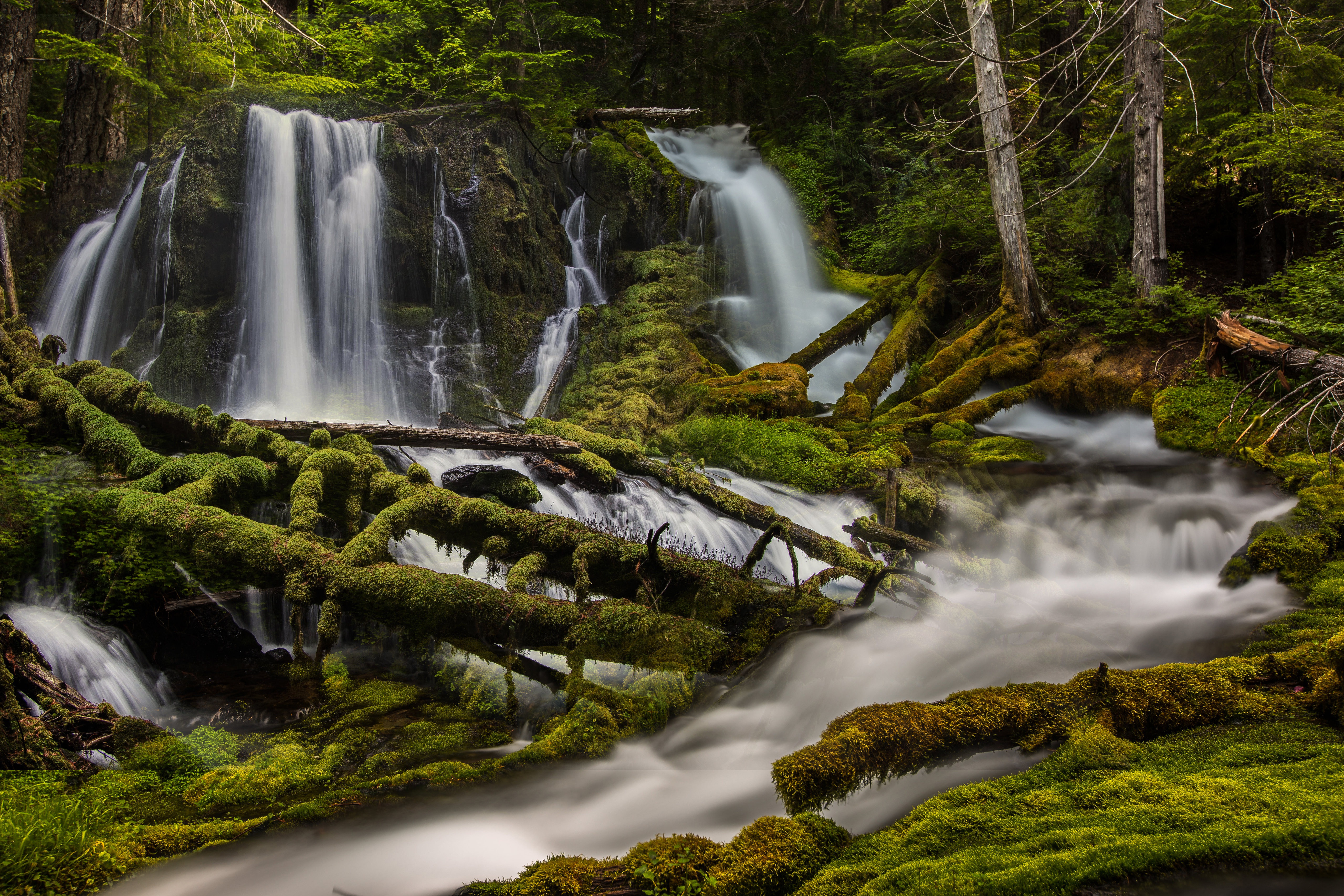 Скачать картинку Река, Водопады, Водопад, Лес, Зелень, Земля/природа в телефон бесплатно.