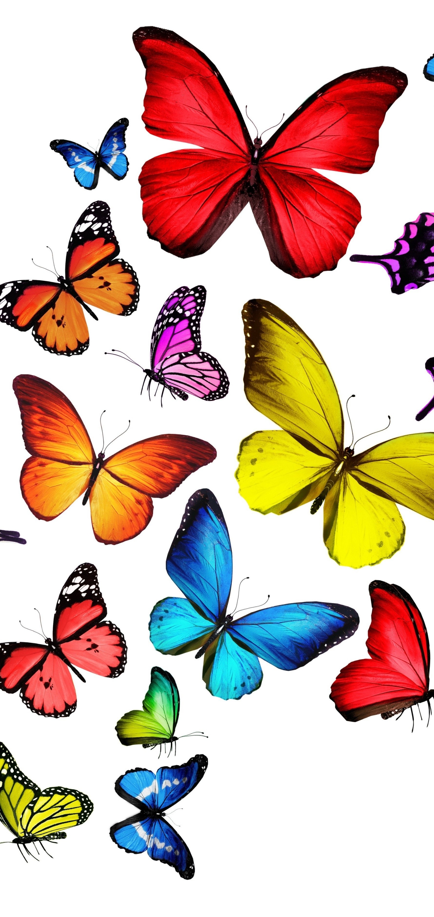 Descarga gratuita de fondo de pantalla para móvil de Colores, Mariposa, Vistoso, Artístico.