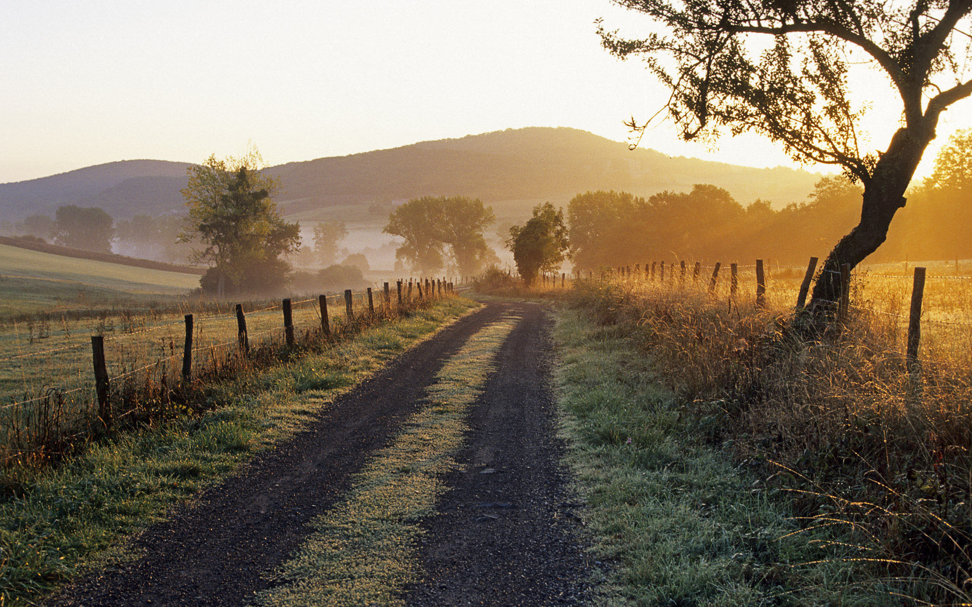 Download mobile wallpaper Path, Man Made for free.