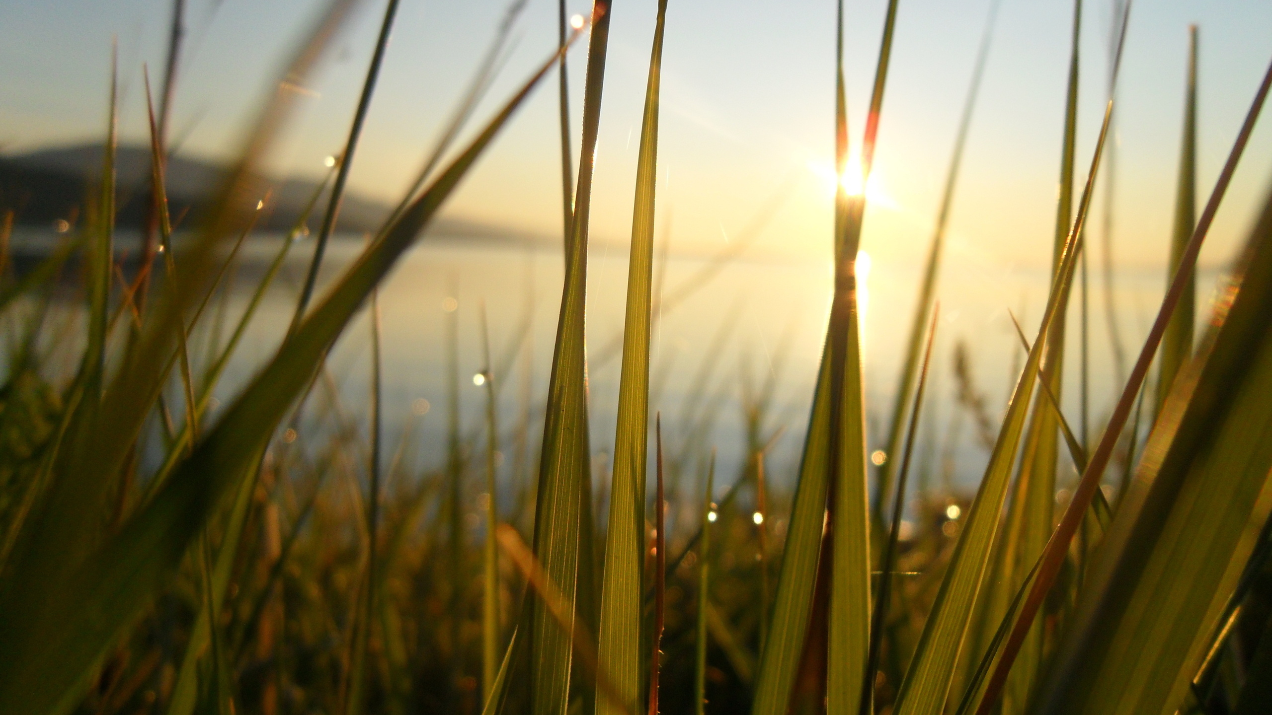 Téléchargez gratuitement l'image Rayon De Soleil, Terre/nature sur le bureau de votre PC