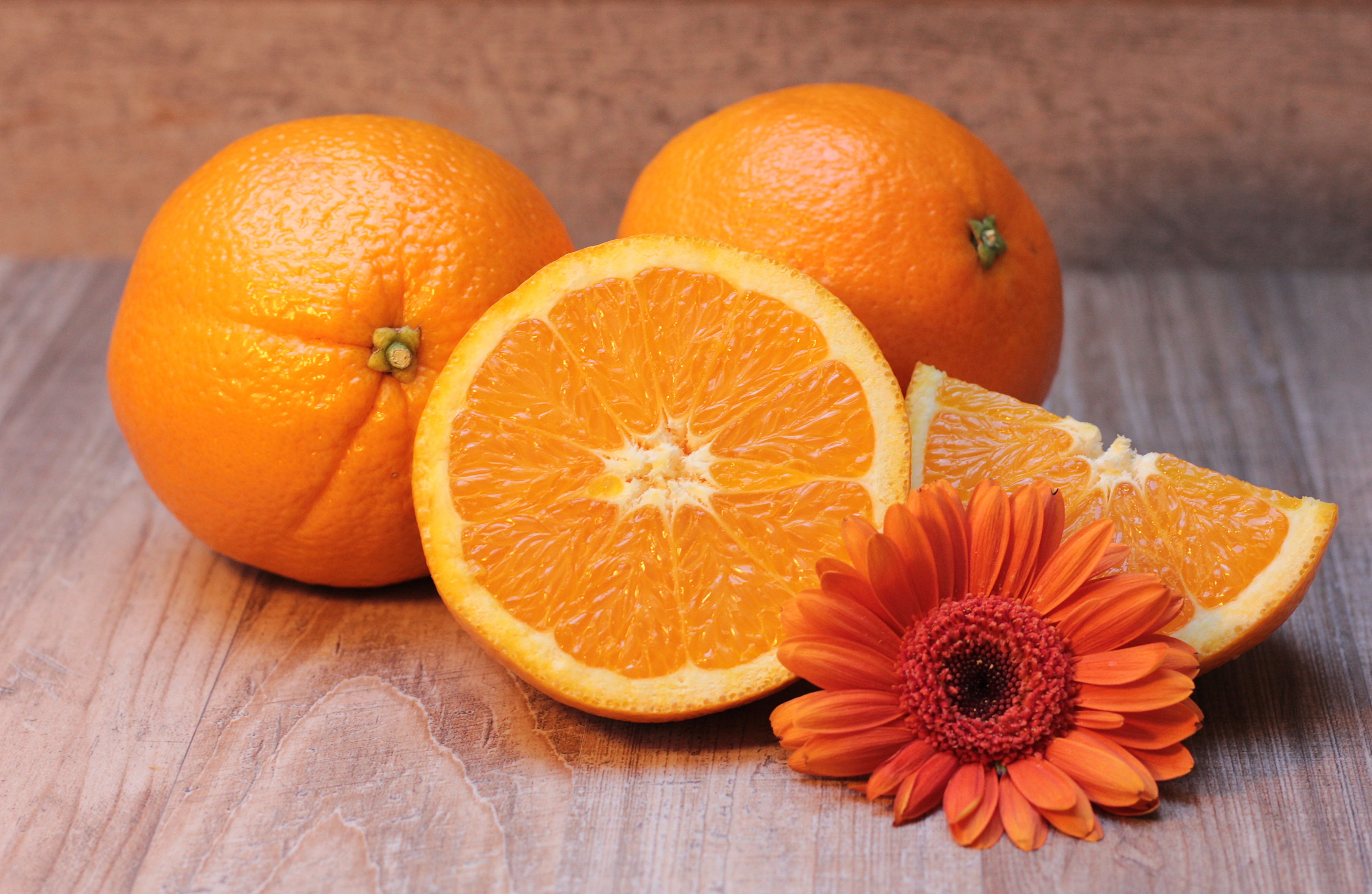 117819 скачать обои апельсины, цитрус, фрукты, еда, цветок - заставки и картинки бесплатно