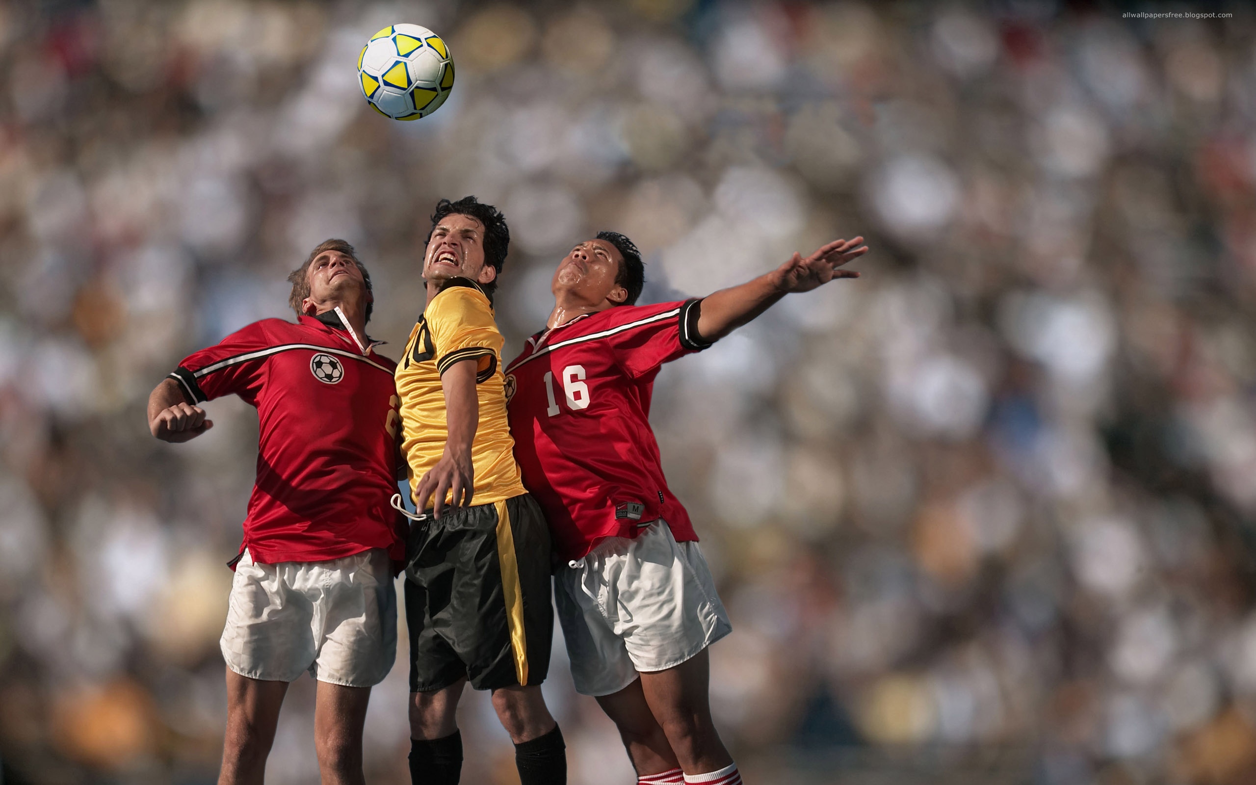 Baixe gratuitamente a imagem Esportes, Futebol na área de trabalho do seu PC