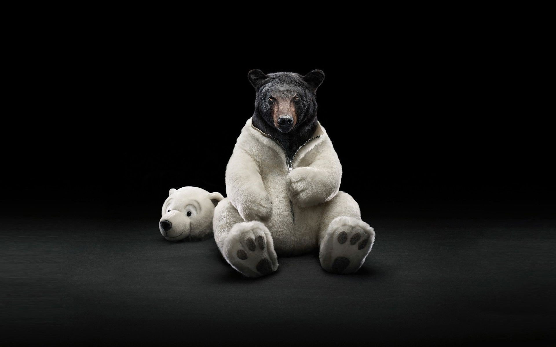 917222 скачать картинку медведь, юмор, животное, костюм - обои и заставки бесплатно