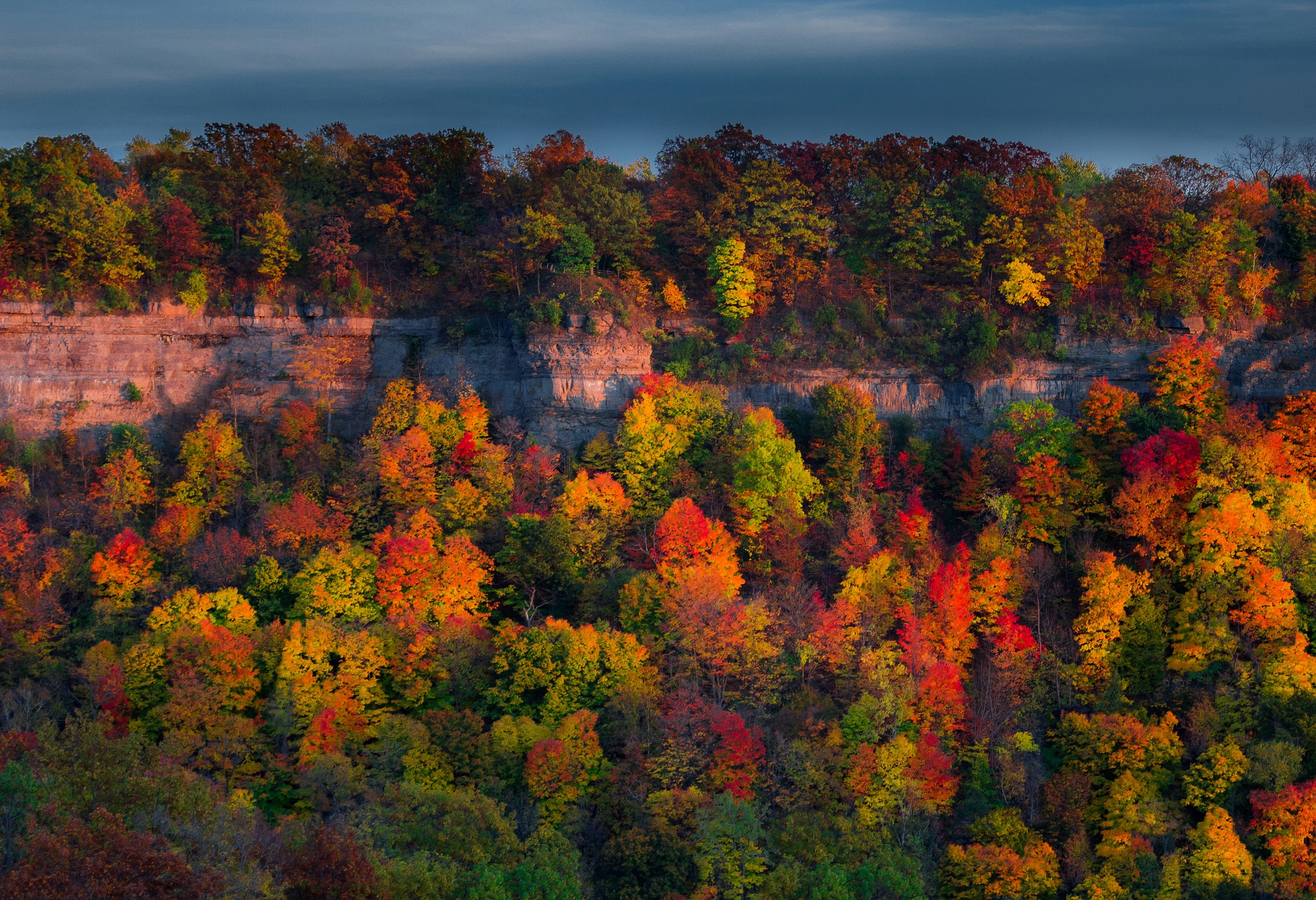 Handy-Wallpaper Natur, Herbst, Wald, Erde/natur kostenlos herunterladen.