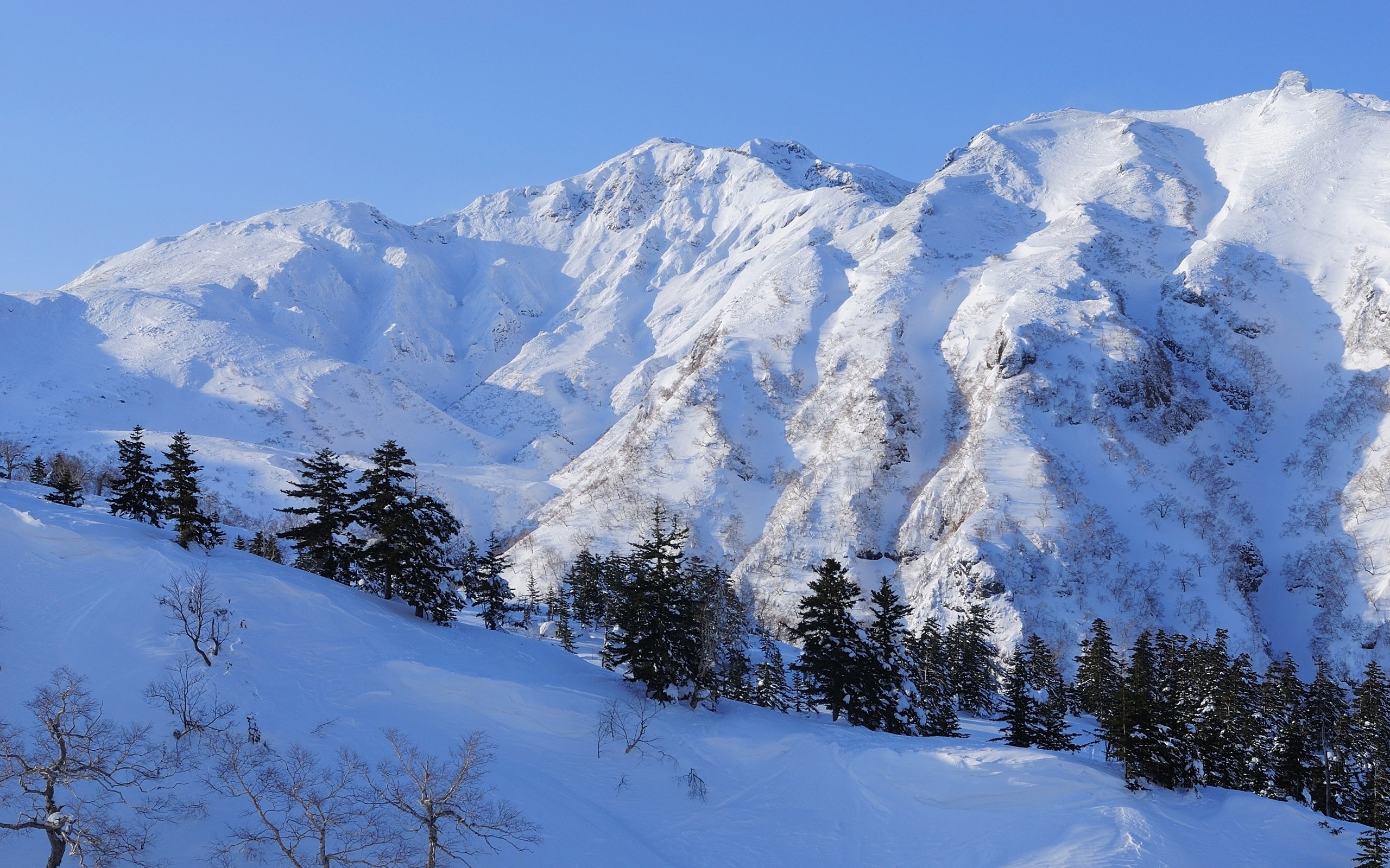 Descarga gratis la imagen Invierno, Nieve, Montaña, Árbol, Tierra/naturaleza en el escritorio de tu PC
