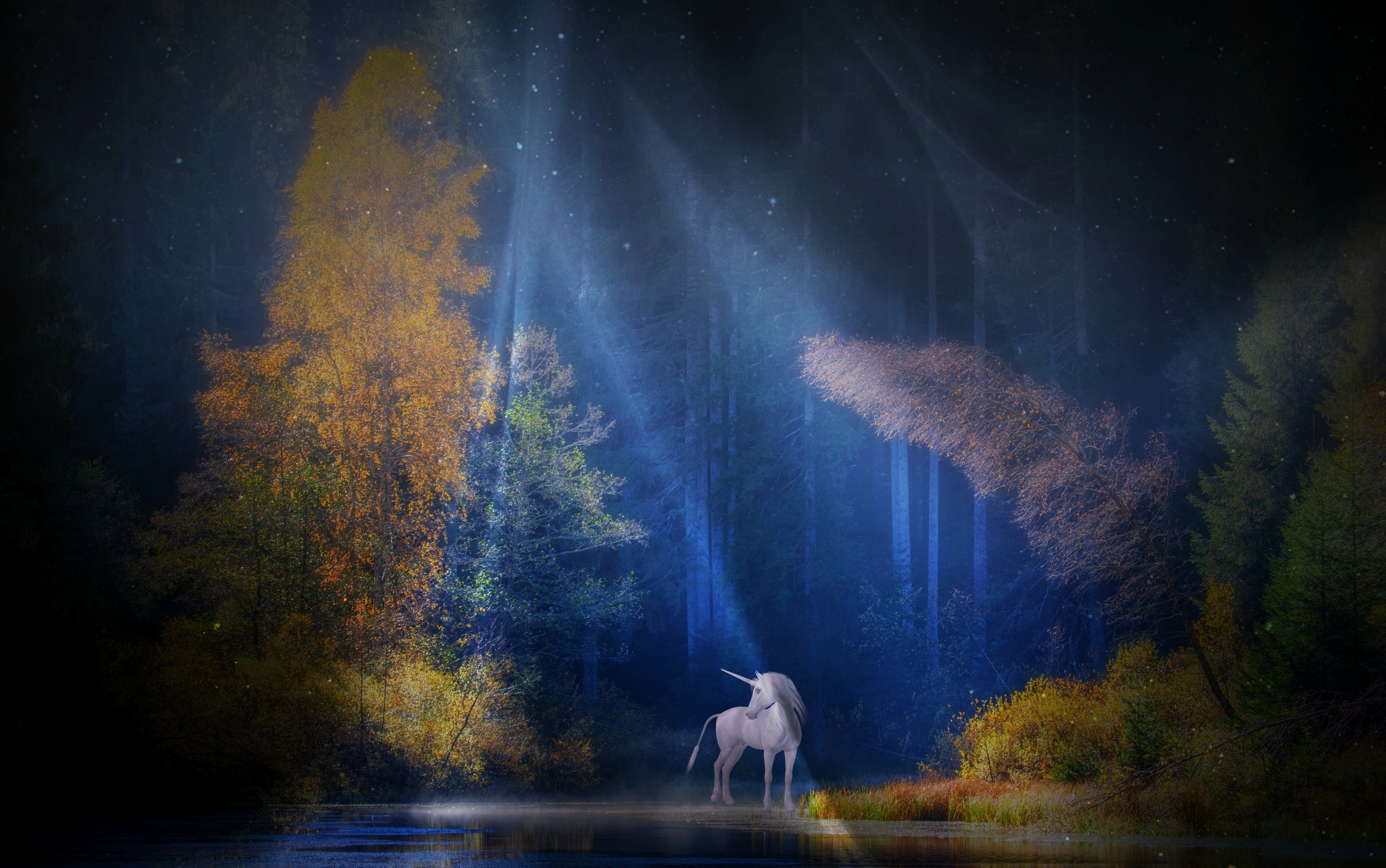 fantasy, unicorn, forest, mystical, sunbeam, tree, fantasy animals
