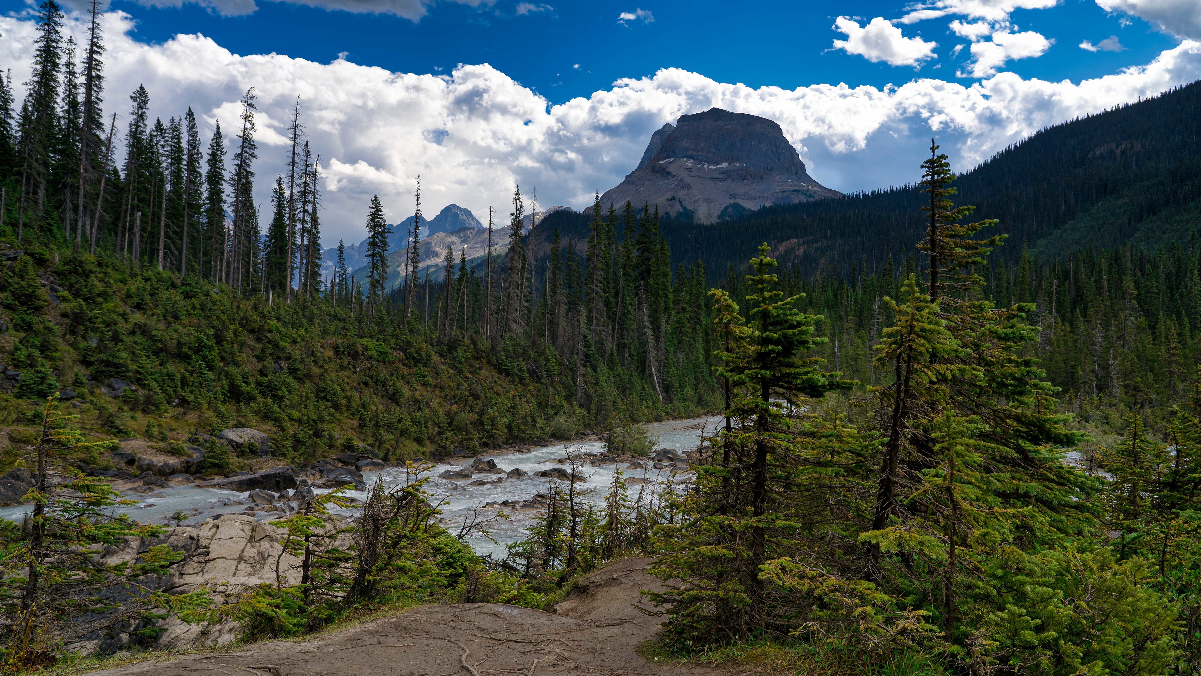 Скачать обои бесплатно Река, Гора, Канада, Побережье, Лес, Альберта, Земля/природа картинка на рабочий стол ПК