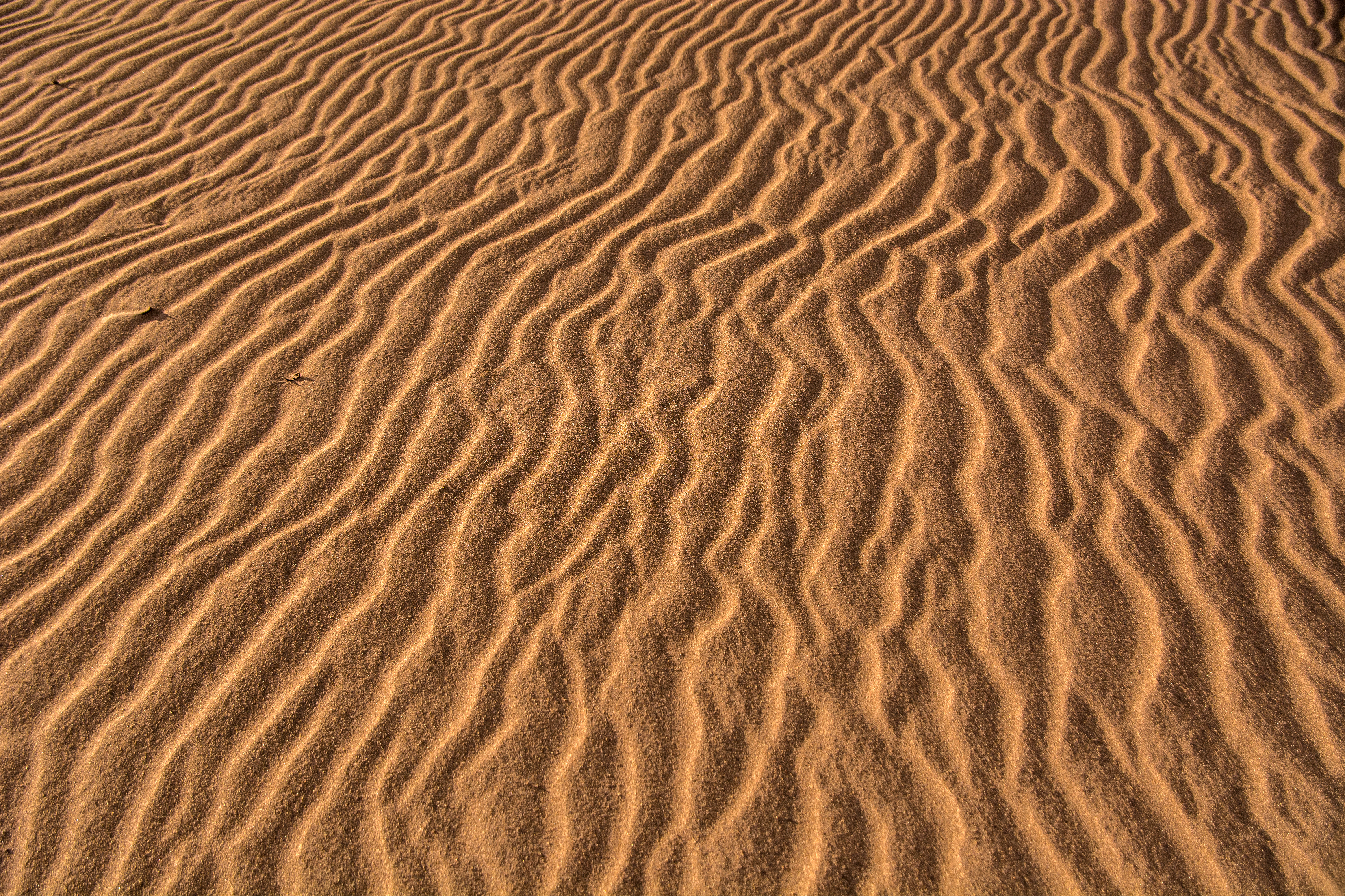 Download mobile wallpaper Traces, Nature, Wavy, Sand, Texture for free.