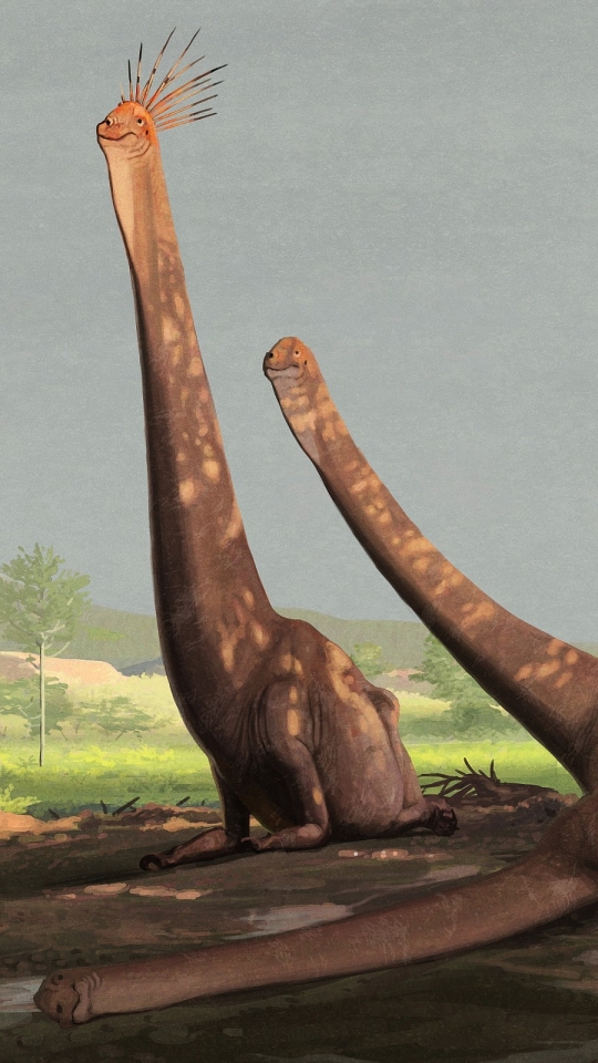 Download mobile wallpaper Dinosaurs, Animal, Dinosaur for free.