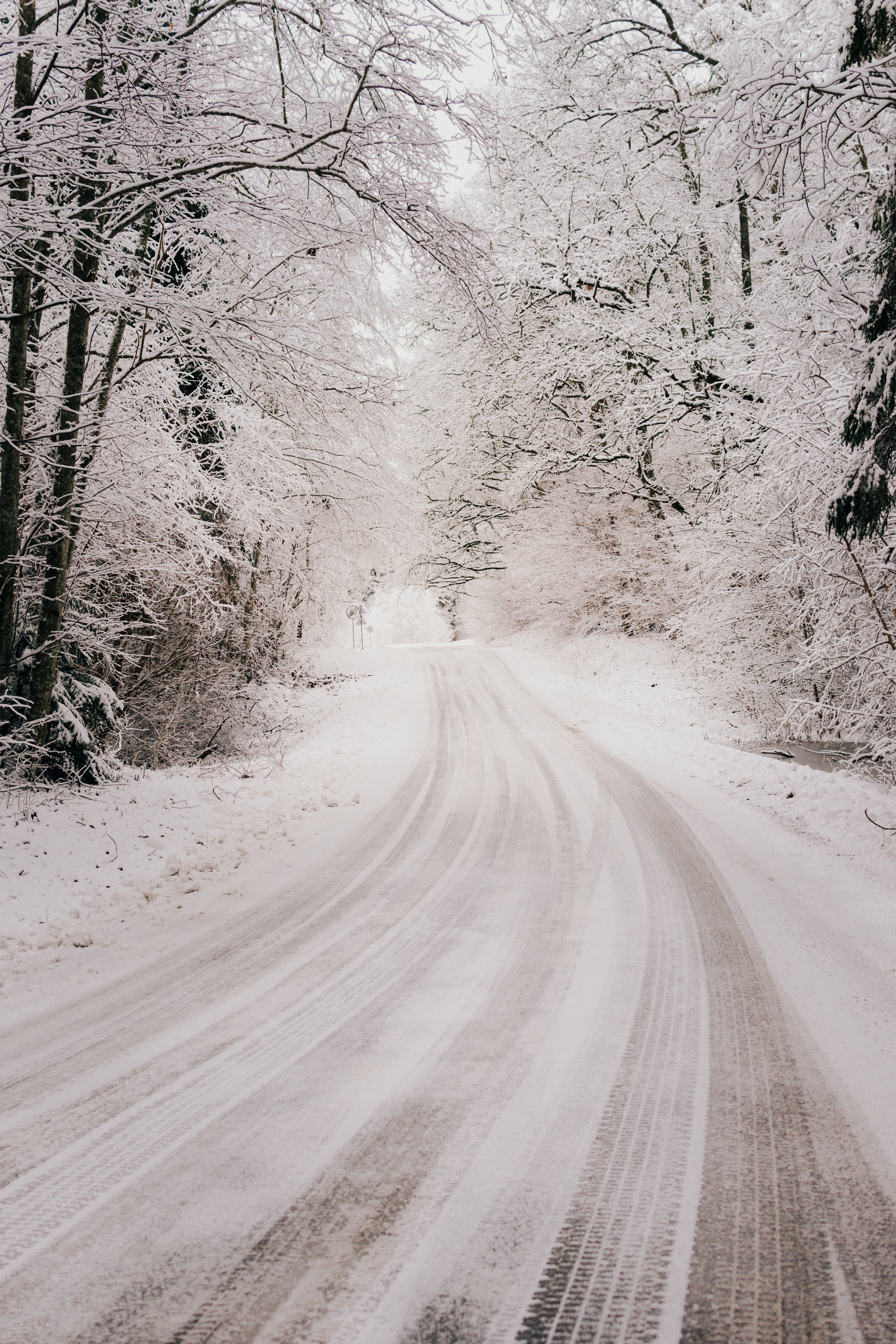 Laden Sie das Bush, Straße, Natur, Bäume, Wald, Schnee, Winter-Bild kostenlos auf Ihren PC-Desktop herunter