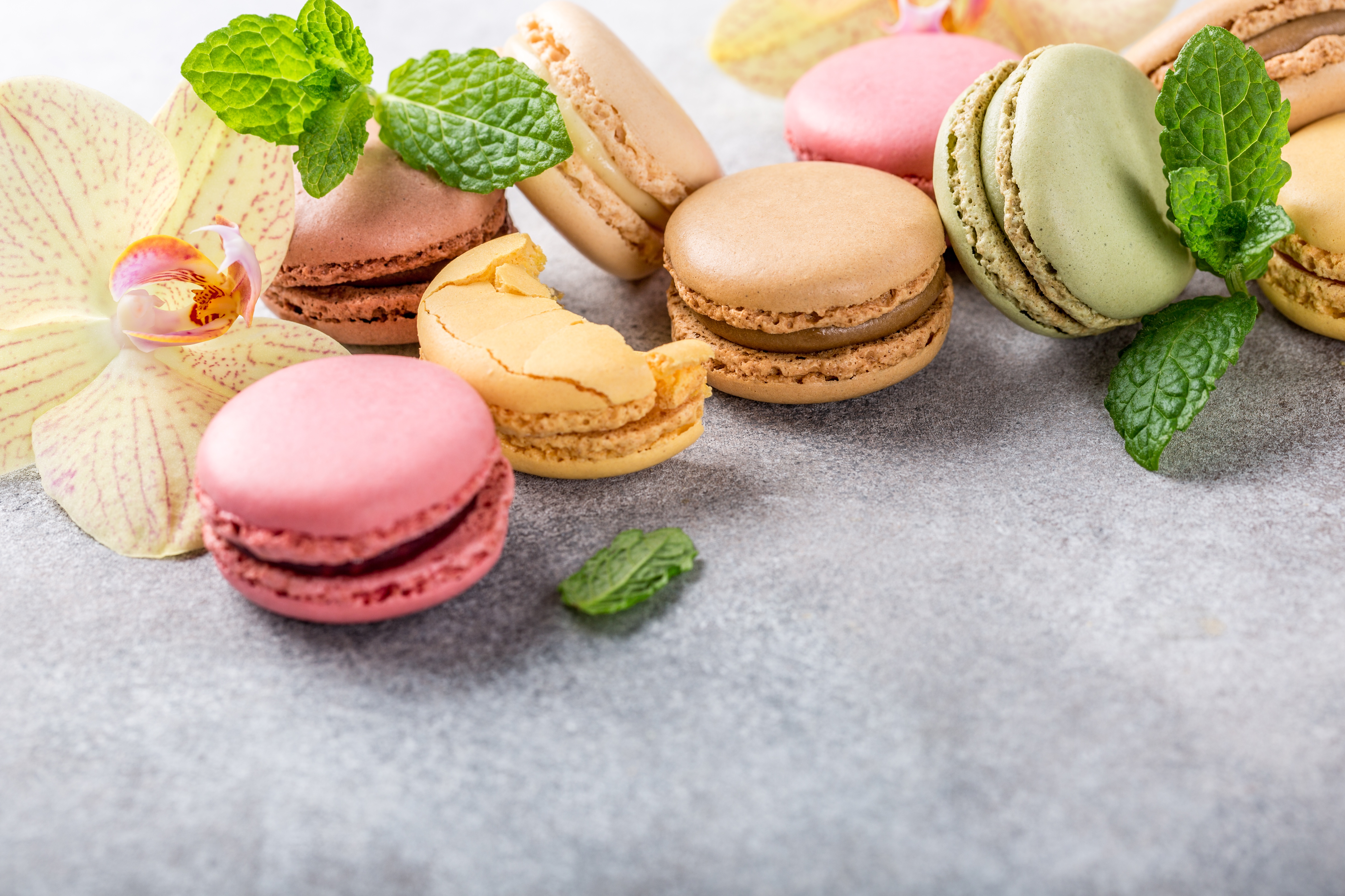 Download mobile wallpaper Food, Still Life, Sweets, Macaron for free.