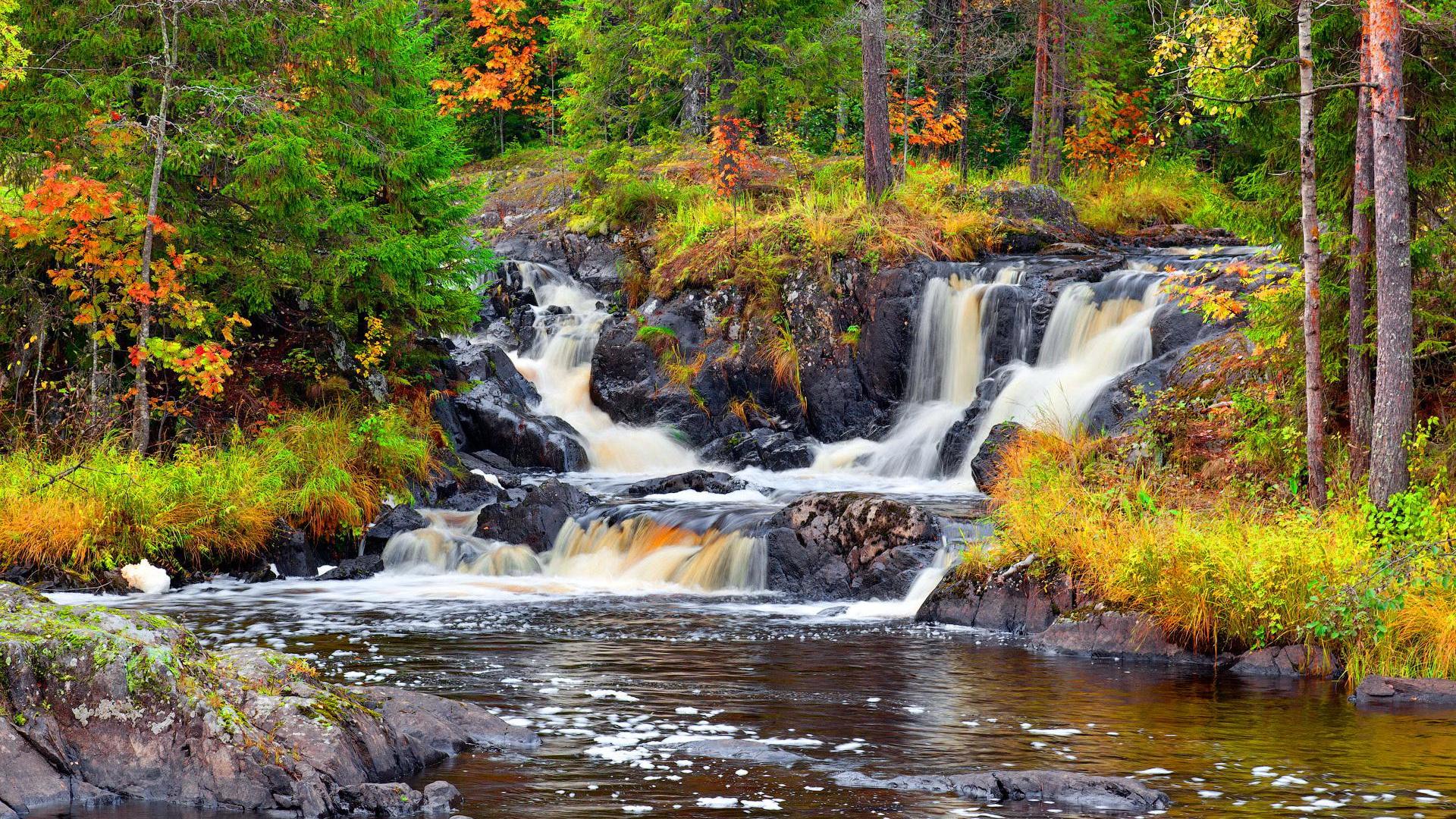 Téléchargez des papiers peints mobile Automne, Cascades, Forêt, Arbre, Terre/nature, Chûte D'eau gratuitement.