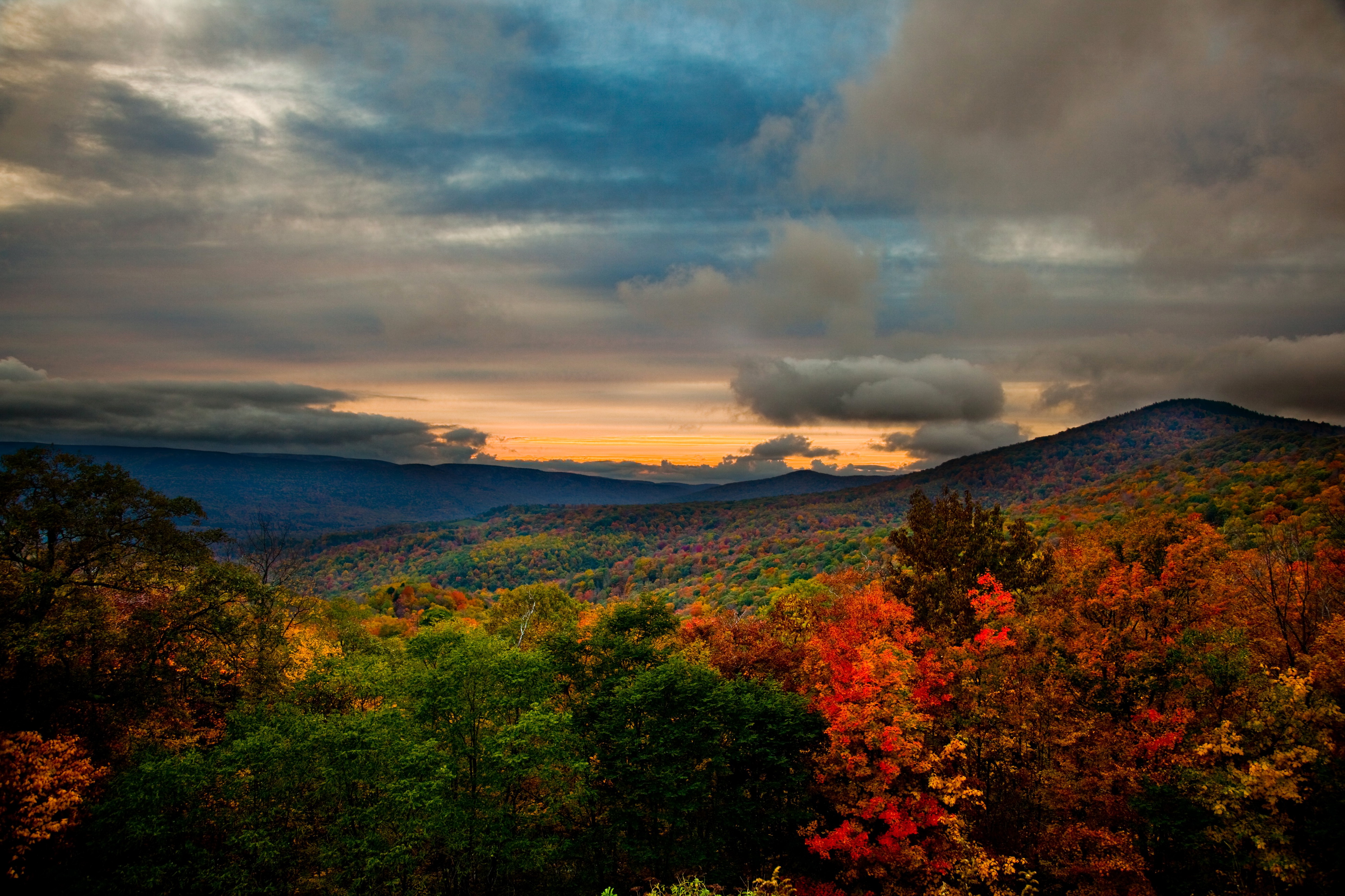 Скачать картинку Осень, Облака, Лес, Дерево, Земля/природа в телефон бесплатно.