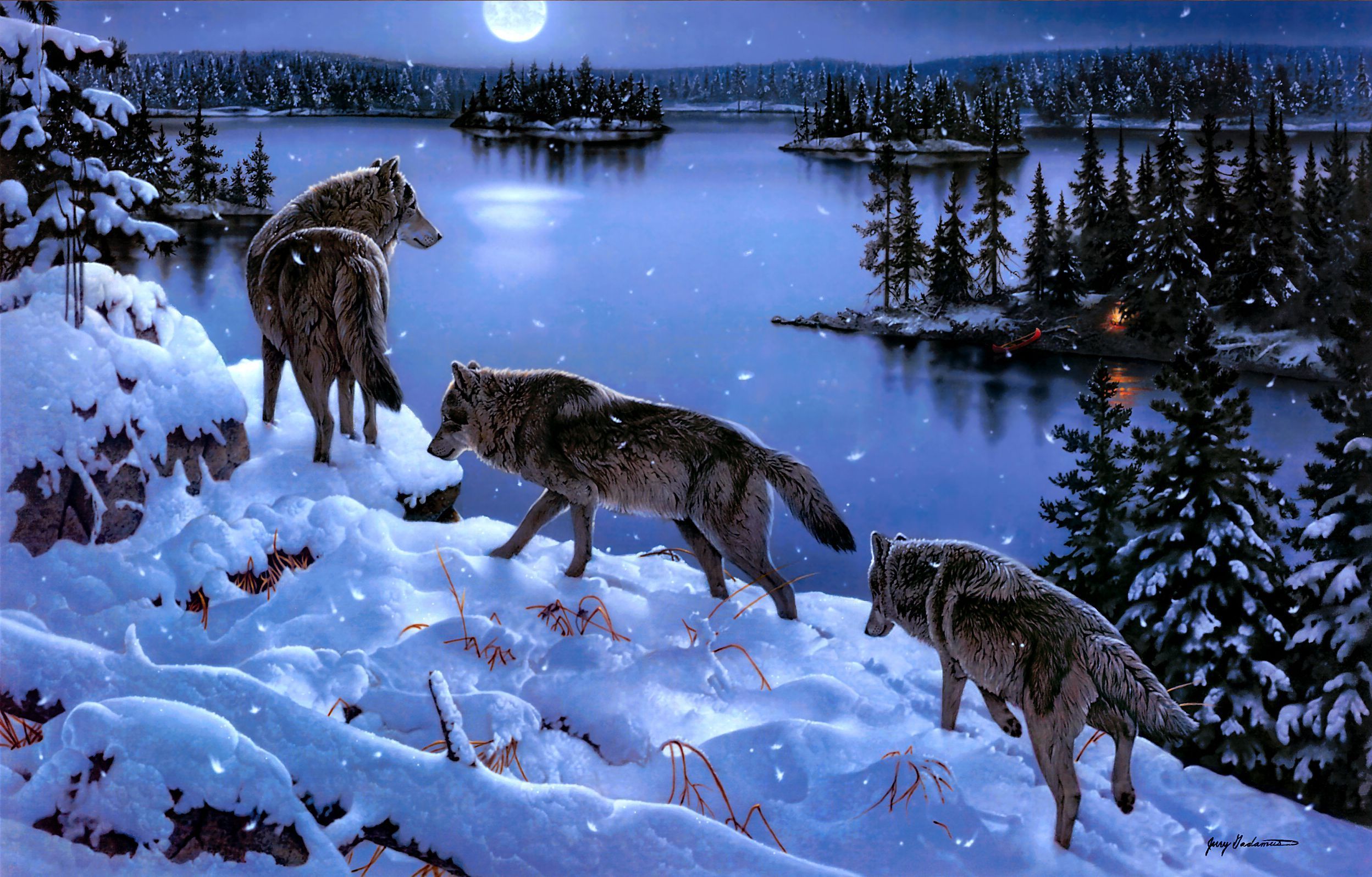 258901 descargar fondo de pantalla animales, lobo, wolves: protectores de pantalla e imágenes gratis