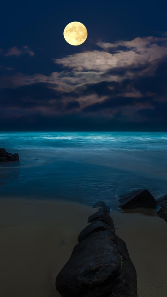 Скачать картинку Море, Ночь, Пляж, Луна, Горизонт, Океан, Земля, Земля/природа в телефон бесплатно.