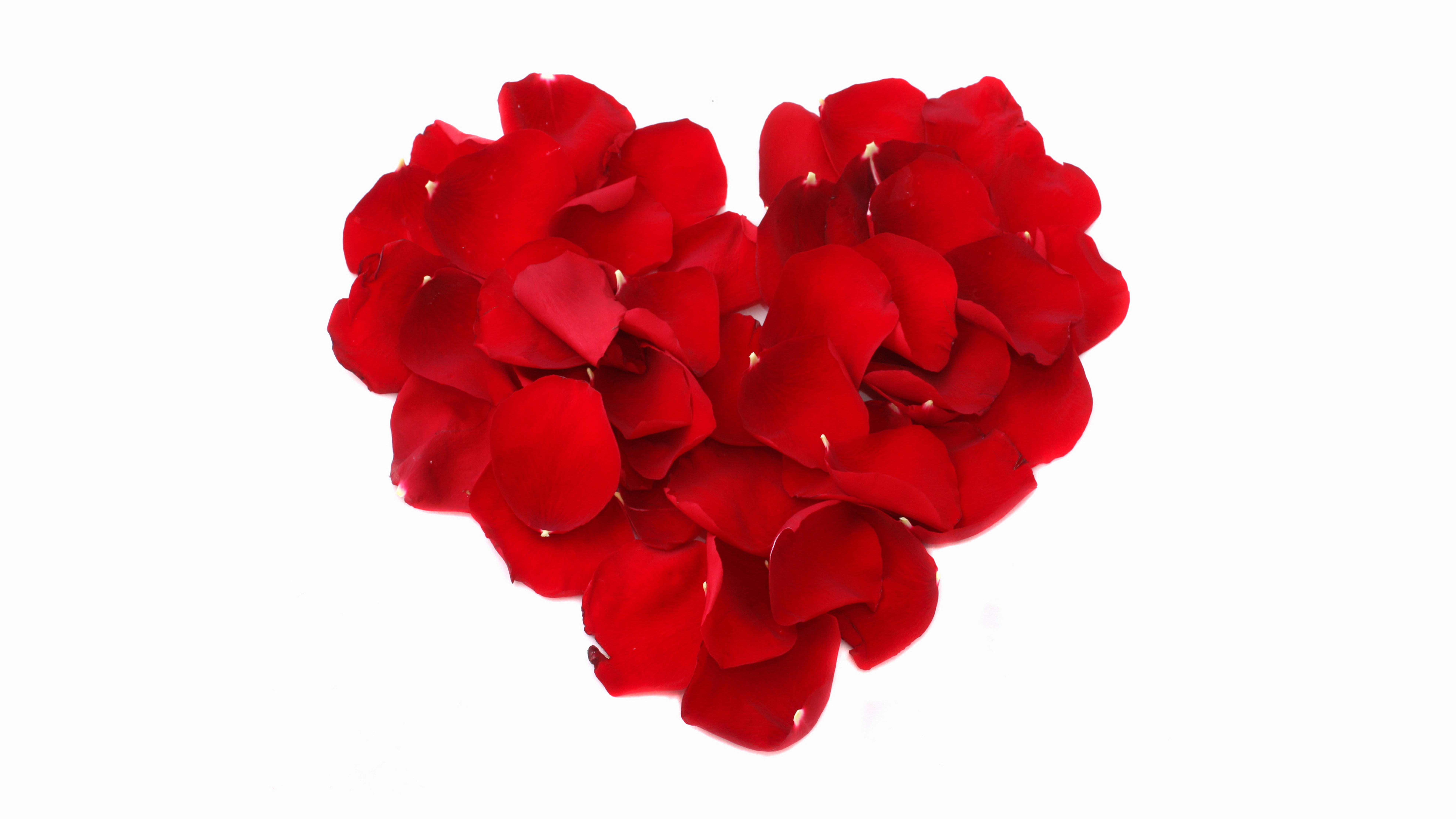 Free download wallpaper Rose, Heart, Artistic, Petal on your PC desktop