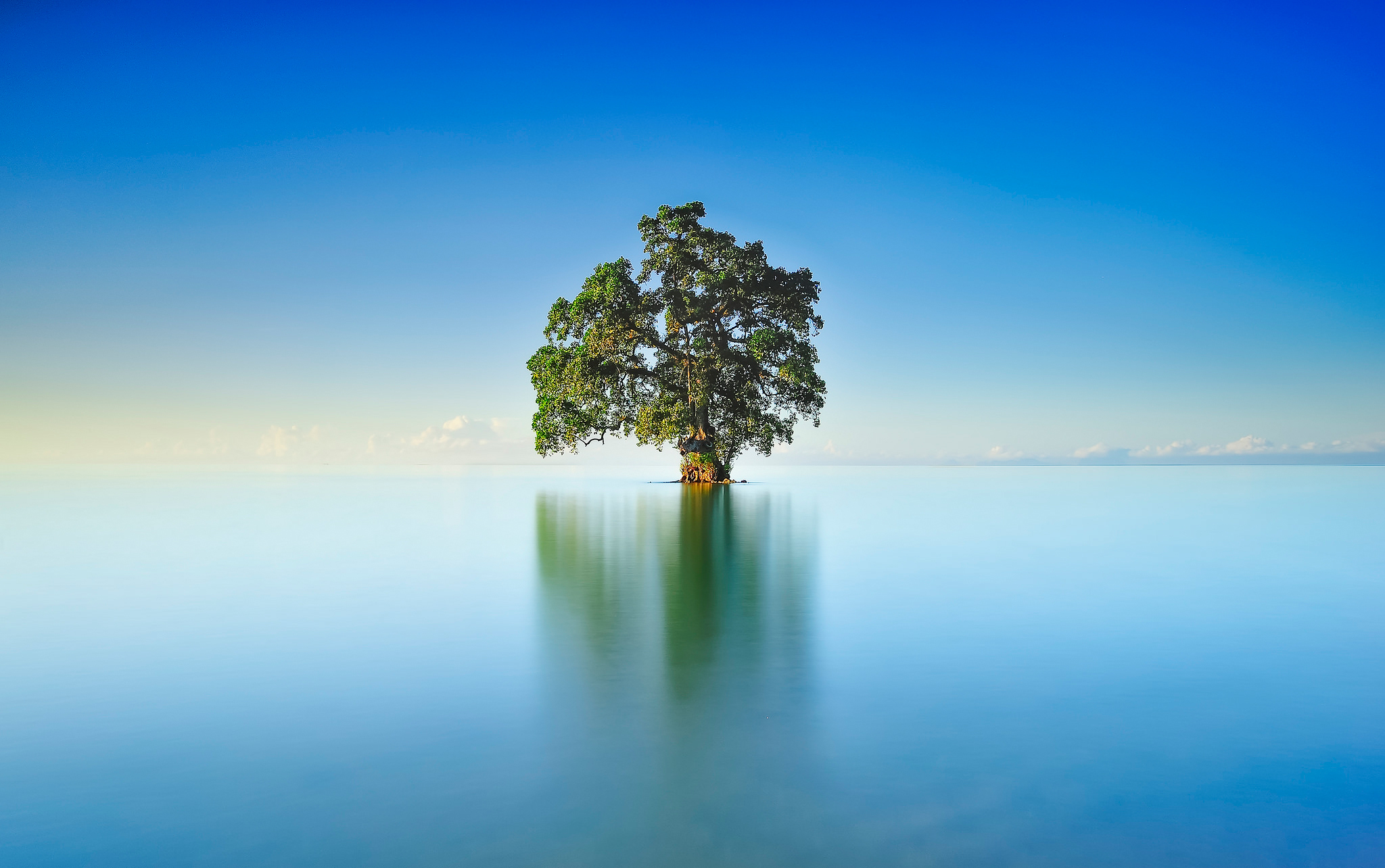 Free download wallpaper Nature, Water, Trees, Horizon, Reflection, Tree, Earth, Lonely Tree on your PC desktop