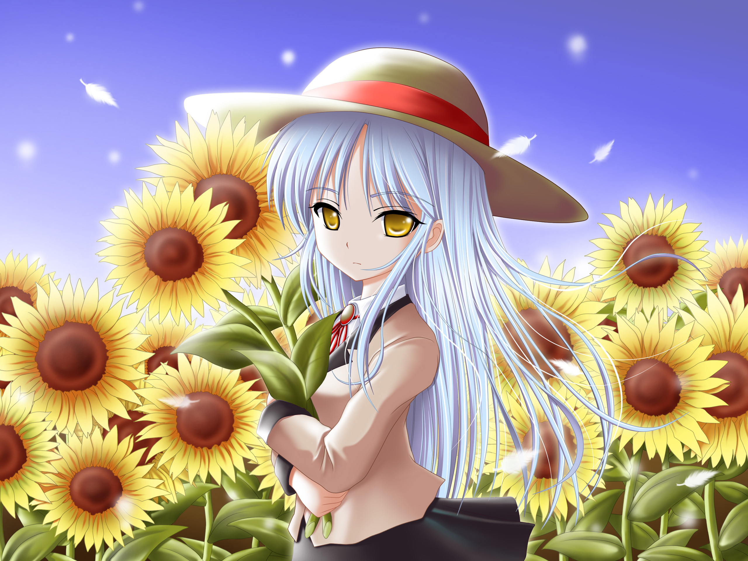 524815 Salvapantallas y fondos de pantalla Kanade Tachibana en tu teléfono. Descarga imágenes de  gratis