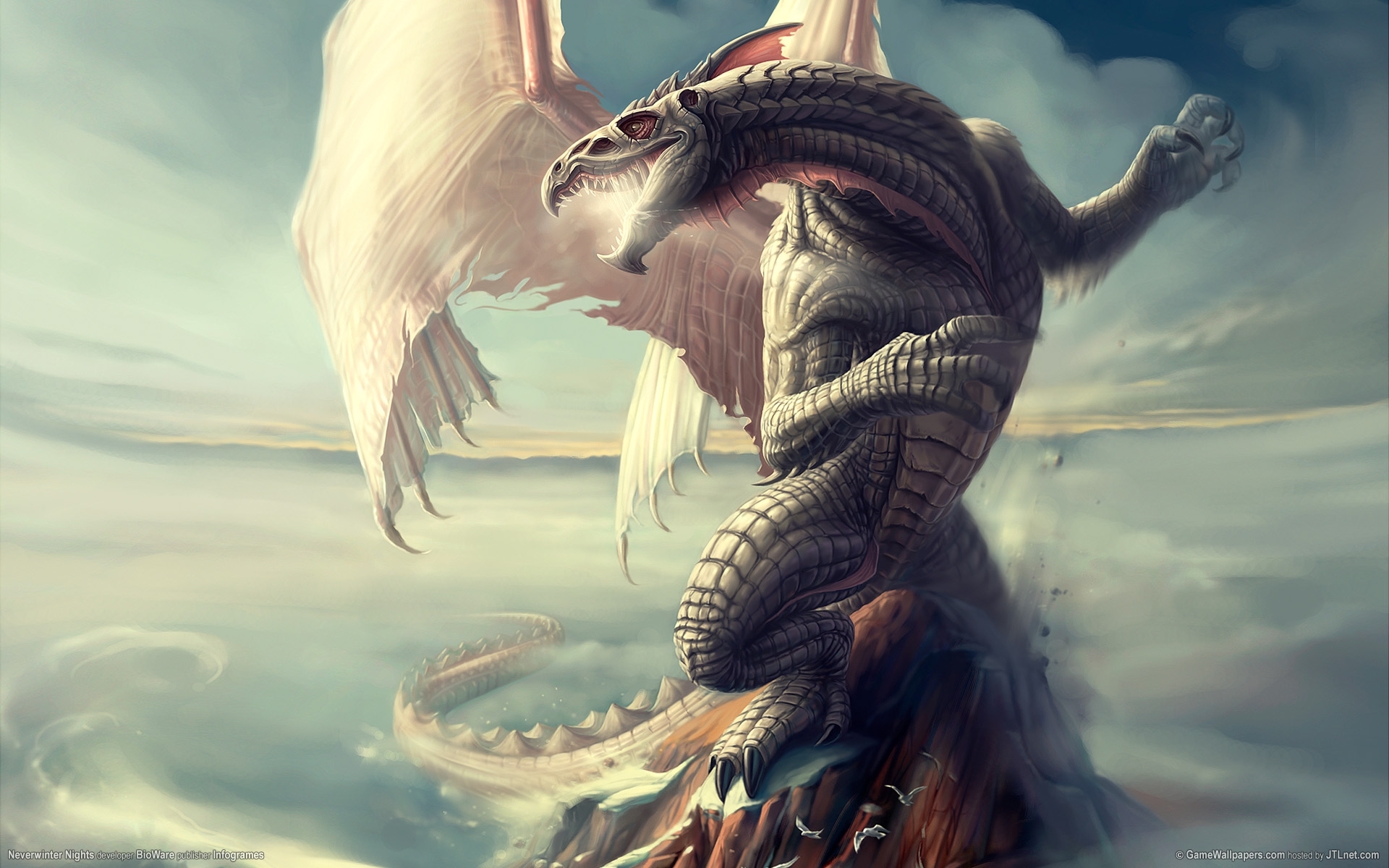 5785 Hintergrundbild herunterladen dragons, fantasie - Bildschirmschoner und Bilder kostenlos