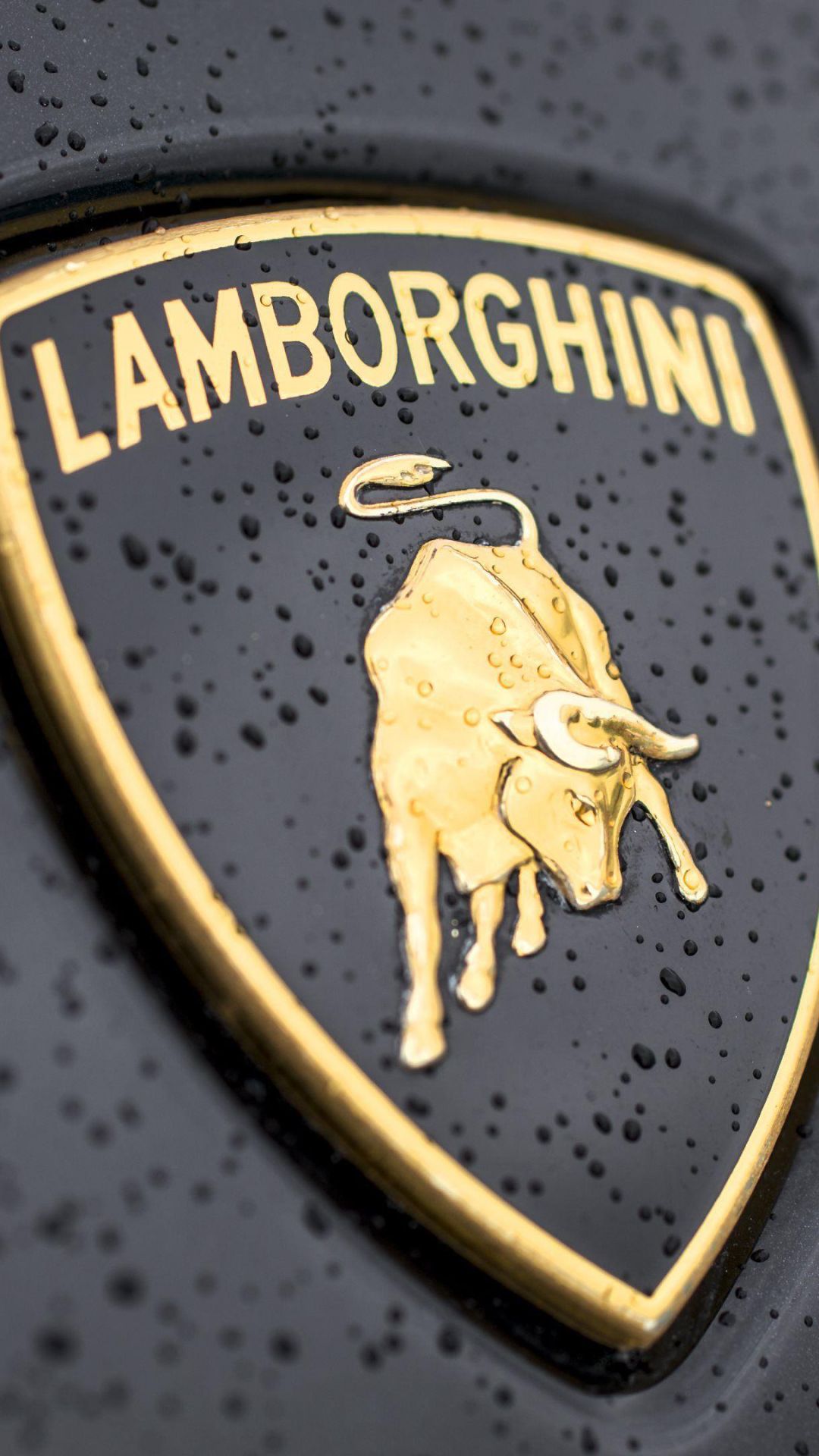 Handy-Wallpaper Lamborghini, Logo, Fahrzeuge kostenlos herunterladen.
