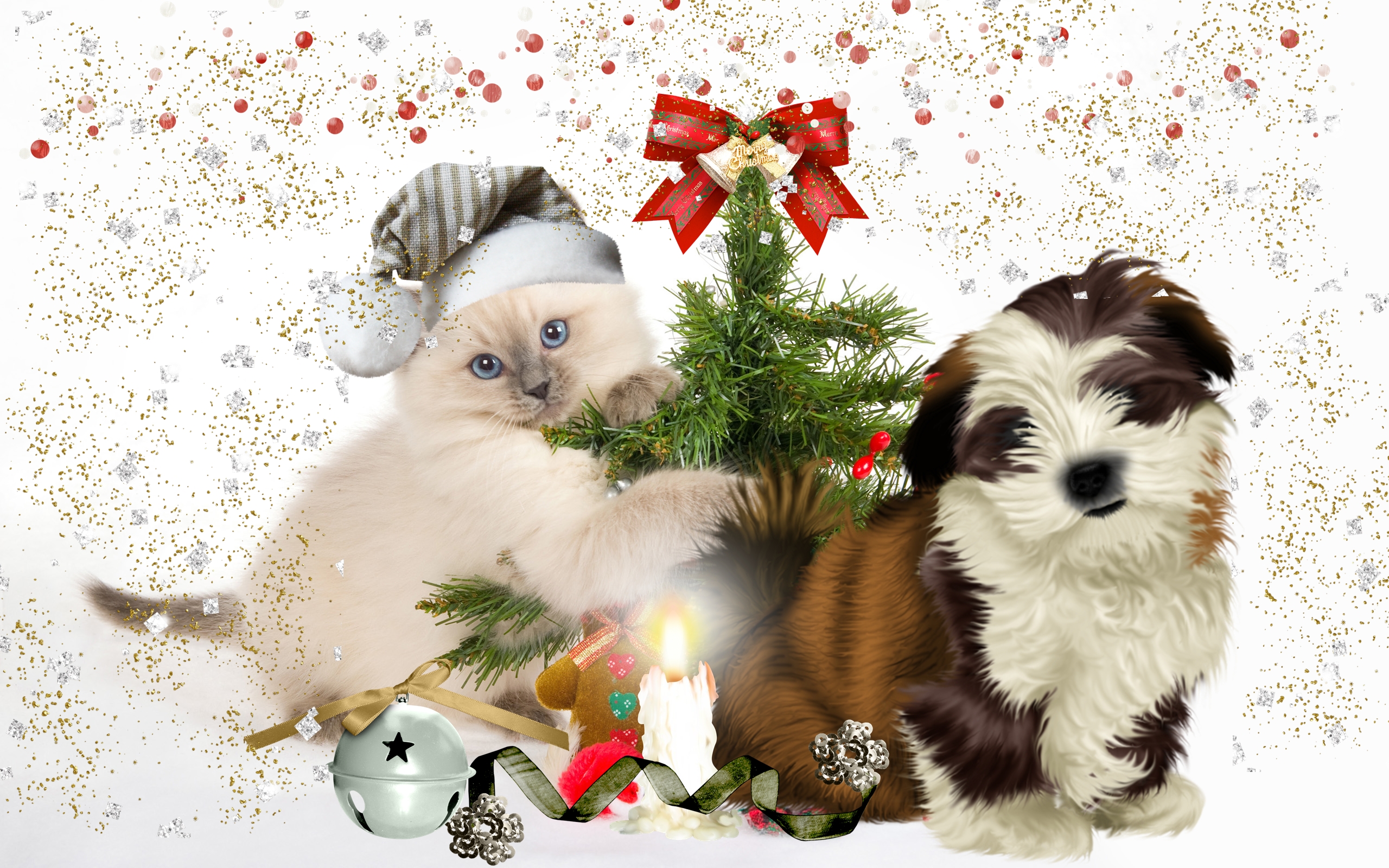Скачать картинку Рождество, Праздничные, Кот, Собака в телефон бесплатно.