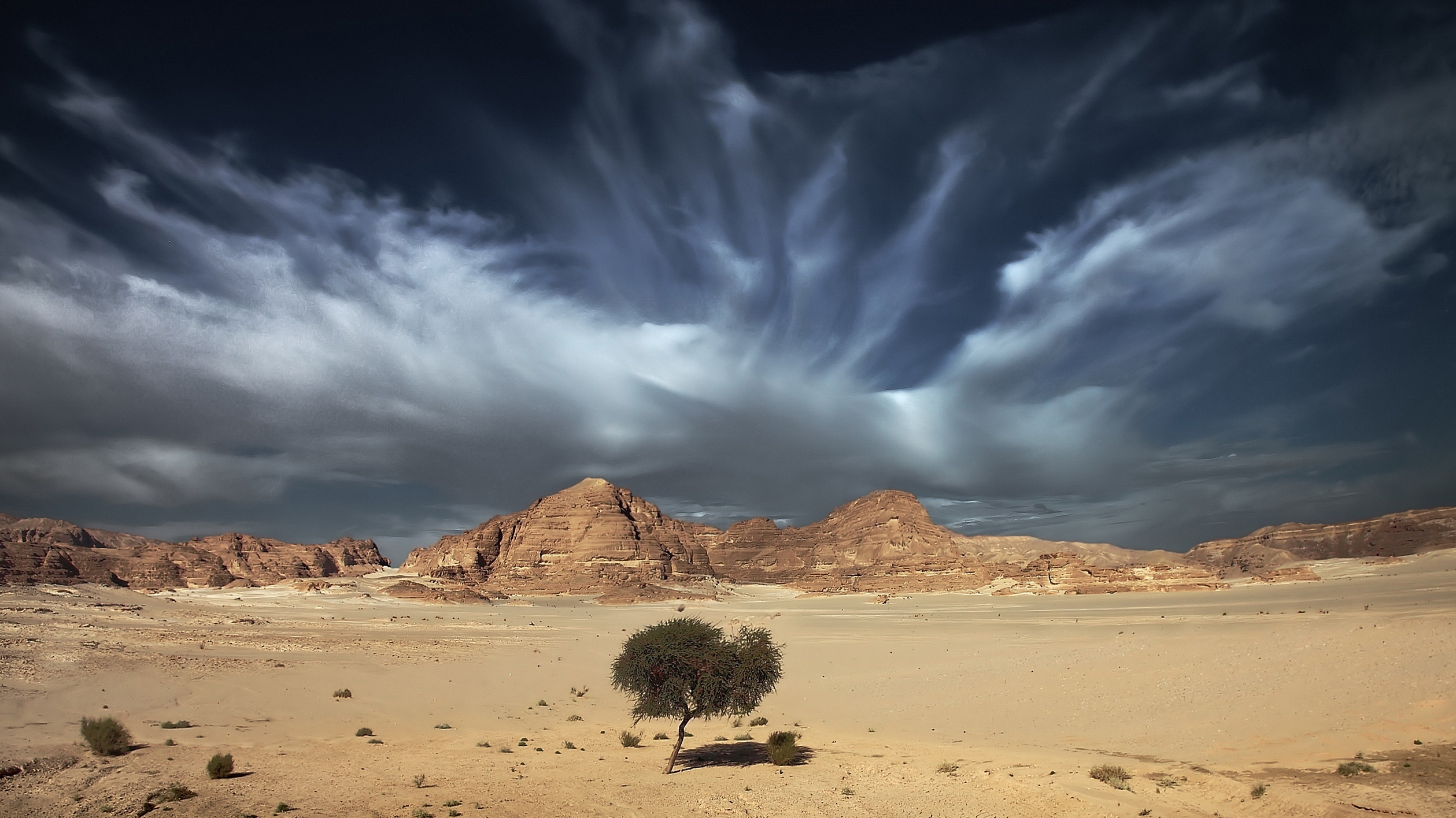 128160 скачать обои пустыня, природа, небо, облака, песок, дерево, просторы - заставки и картинки бесплатно