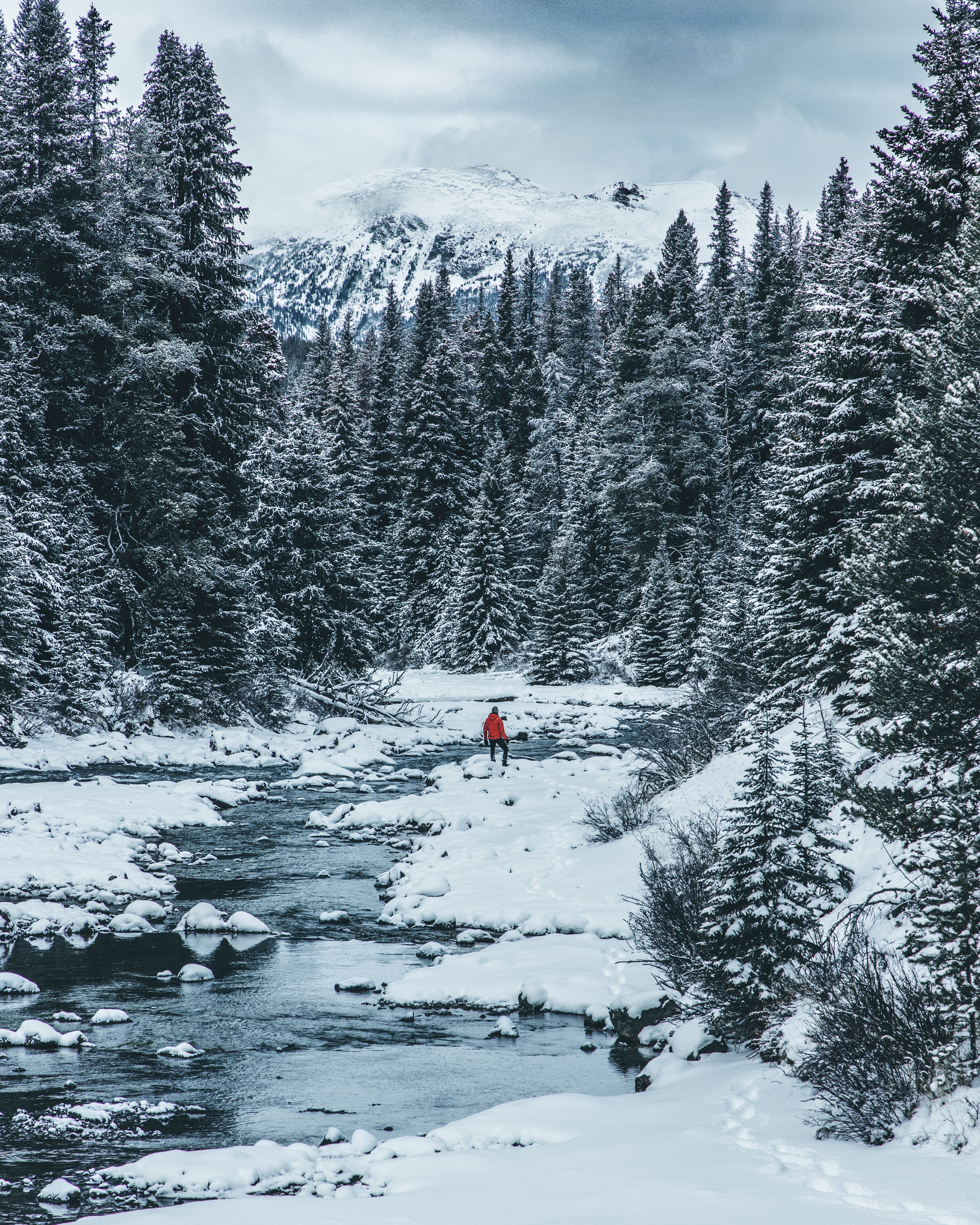 Free download wallpaper Winter, Nature, Rivers, Trees, Snow, Person, Human on your PC desktop