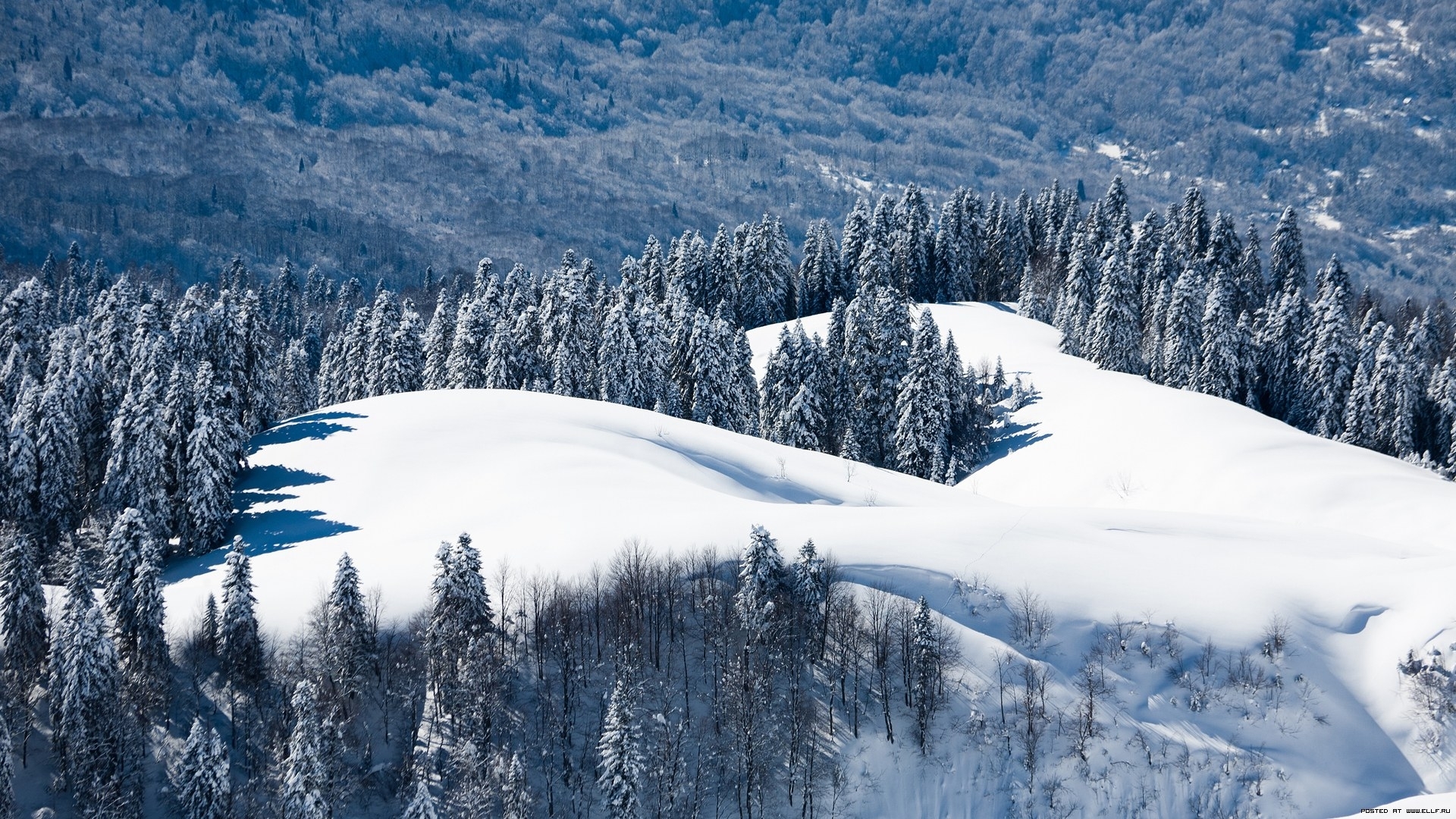 Handy-Wallpaper Landschaft, Winter, Bäume, Mountains, Schnee kostenlos herunterladen.