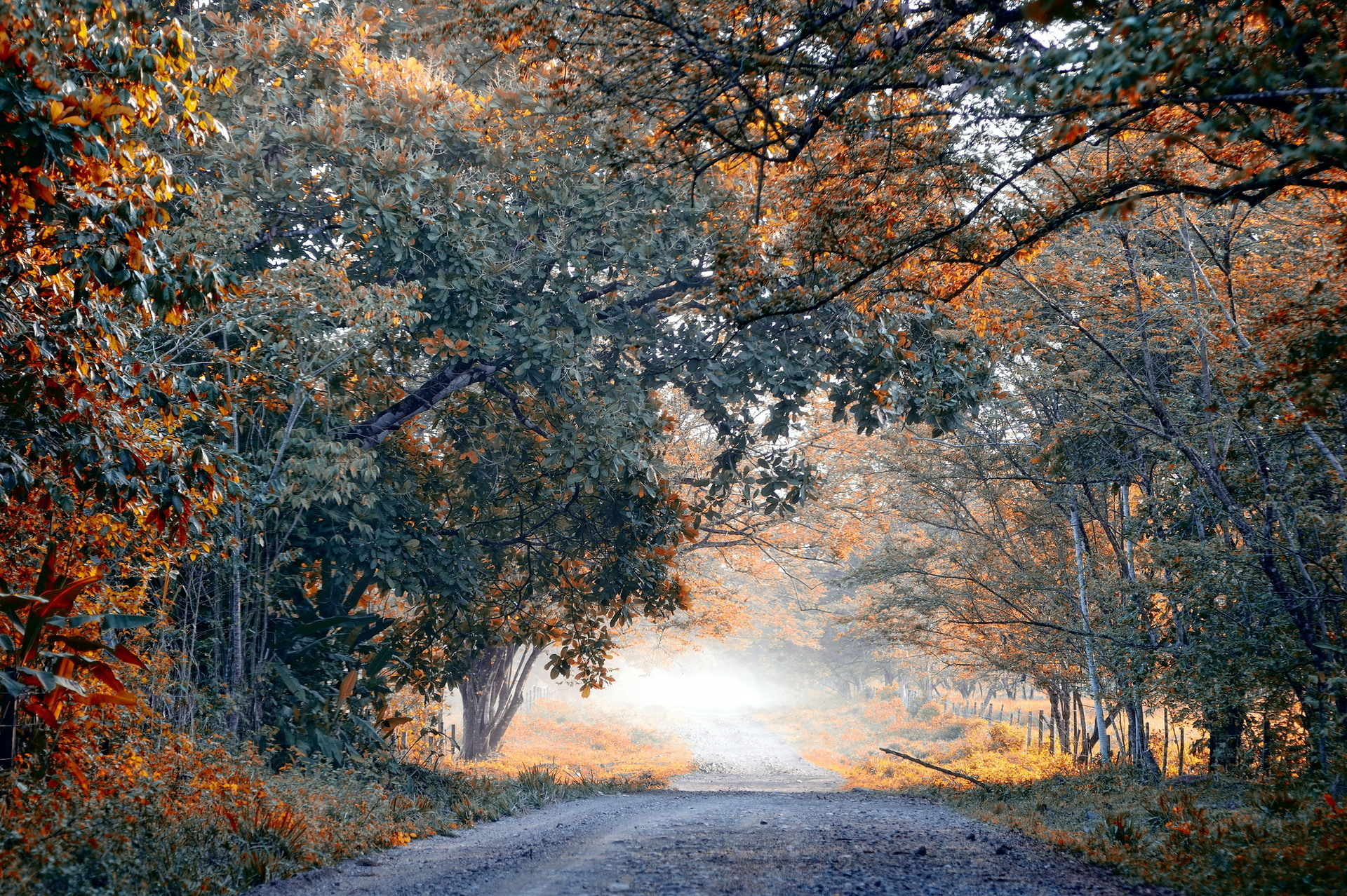 Download mobile wallpaper Road, Fall, Man Made for free.