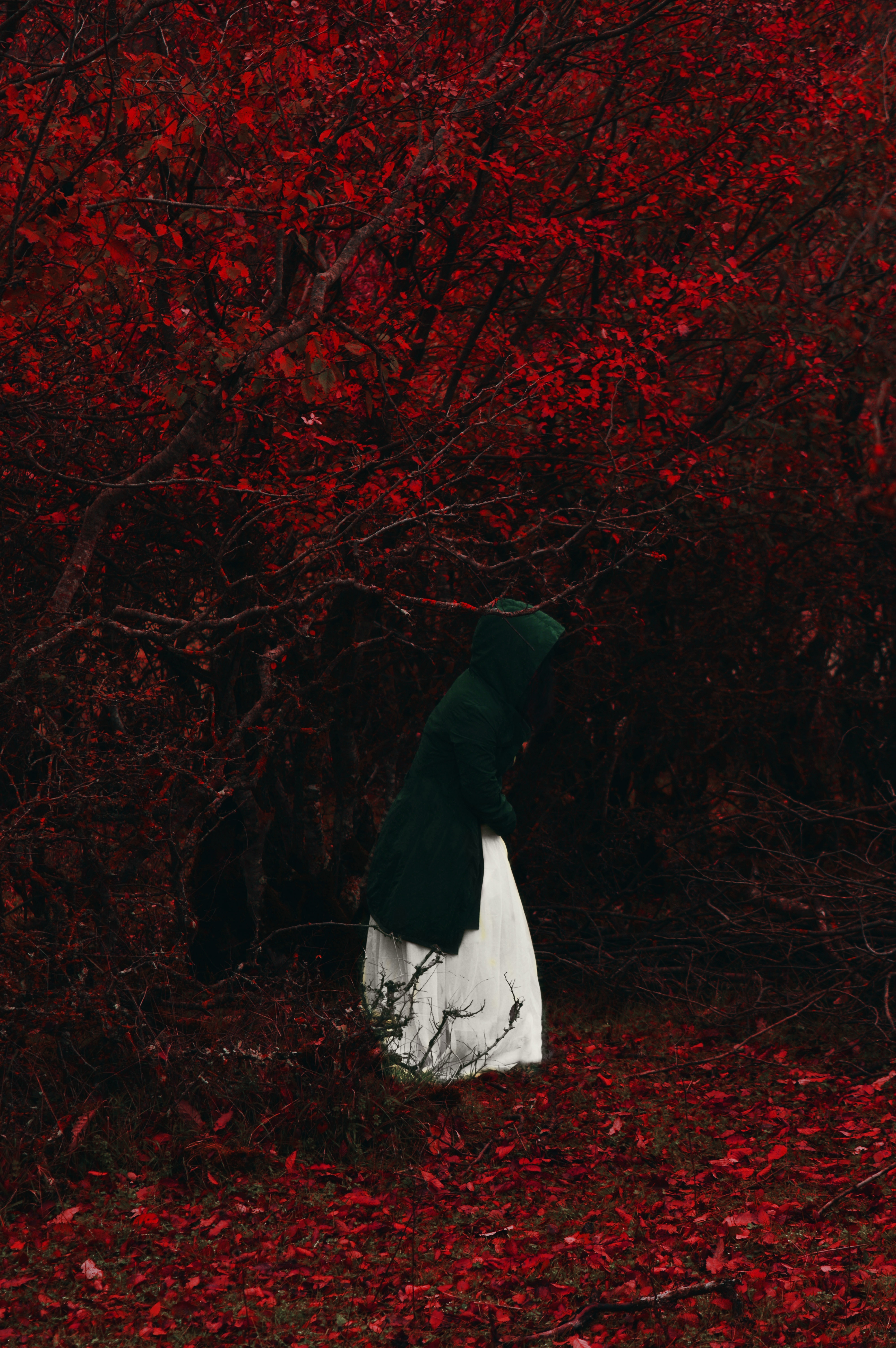 foliage, alone, autumn, hood, nature, red, forest, human, person, loneliness, lonely