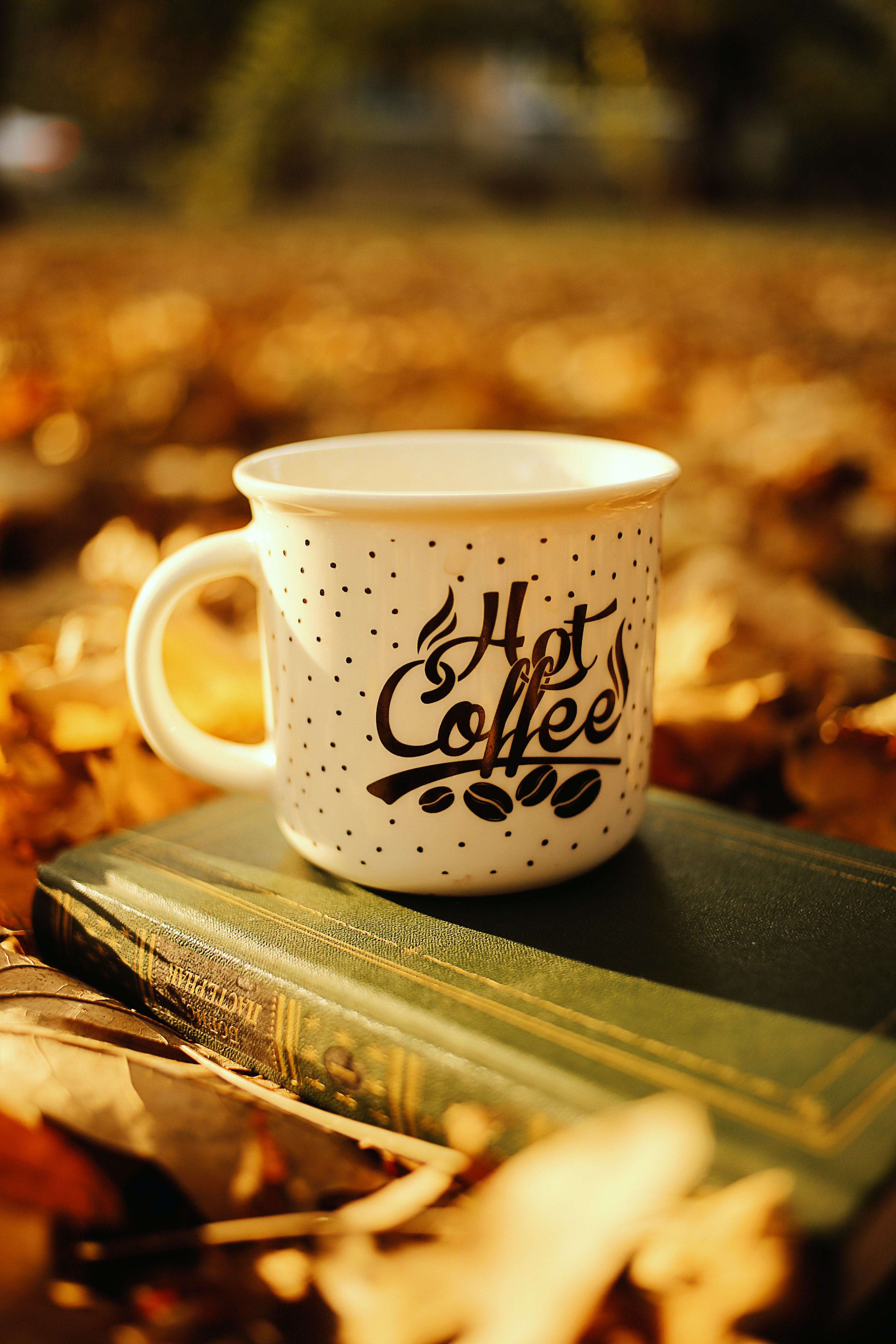mug, book, coffee, words, cup, inscription