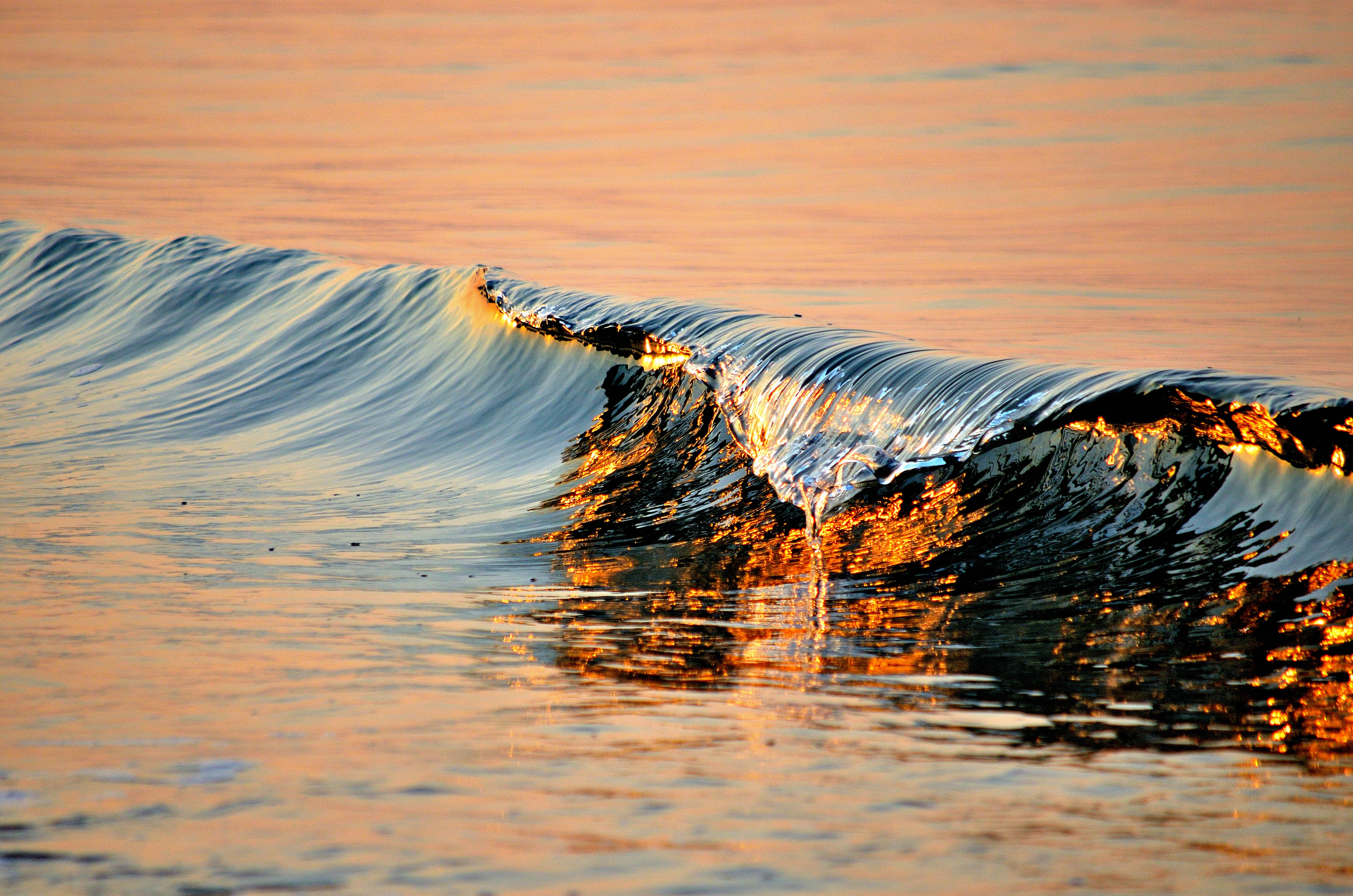 surf, wave, nature, water, sea, wavy HD wallpaper