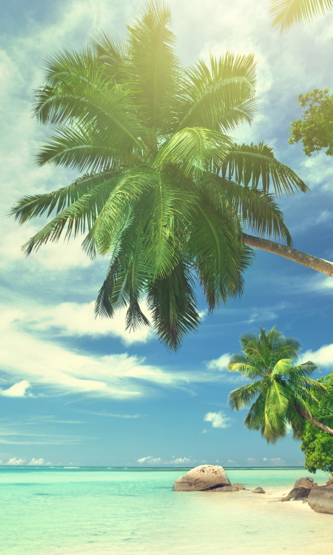 Download mobile wallpaper Beach, Earth for free.